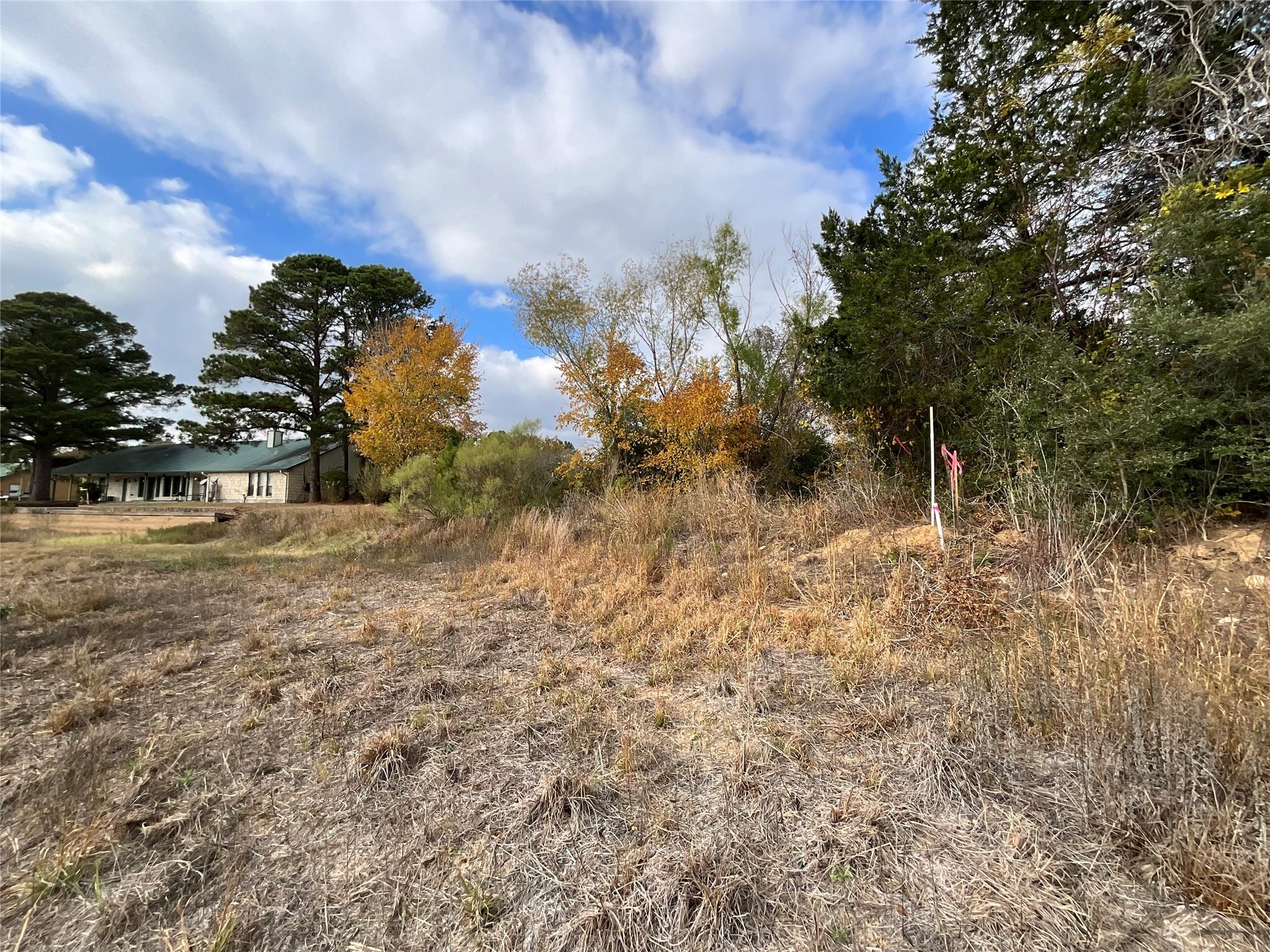 118 Shore Front Dr, Bastrop, TX 78602