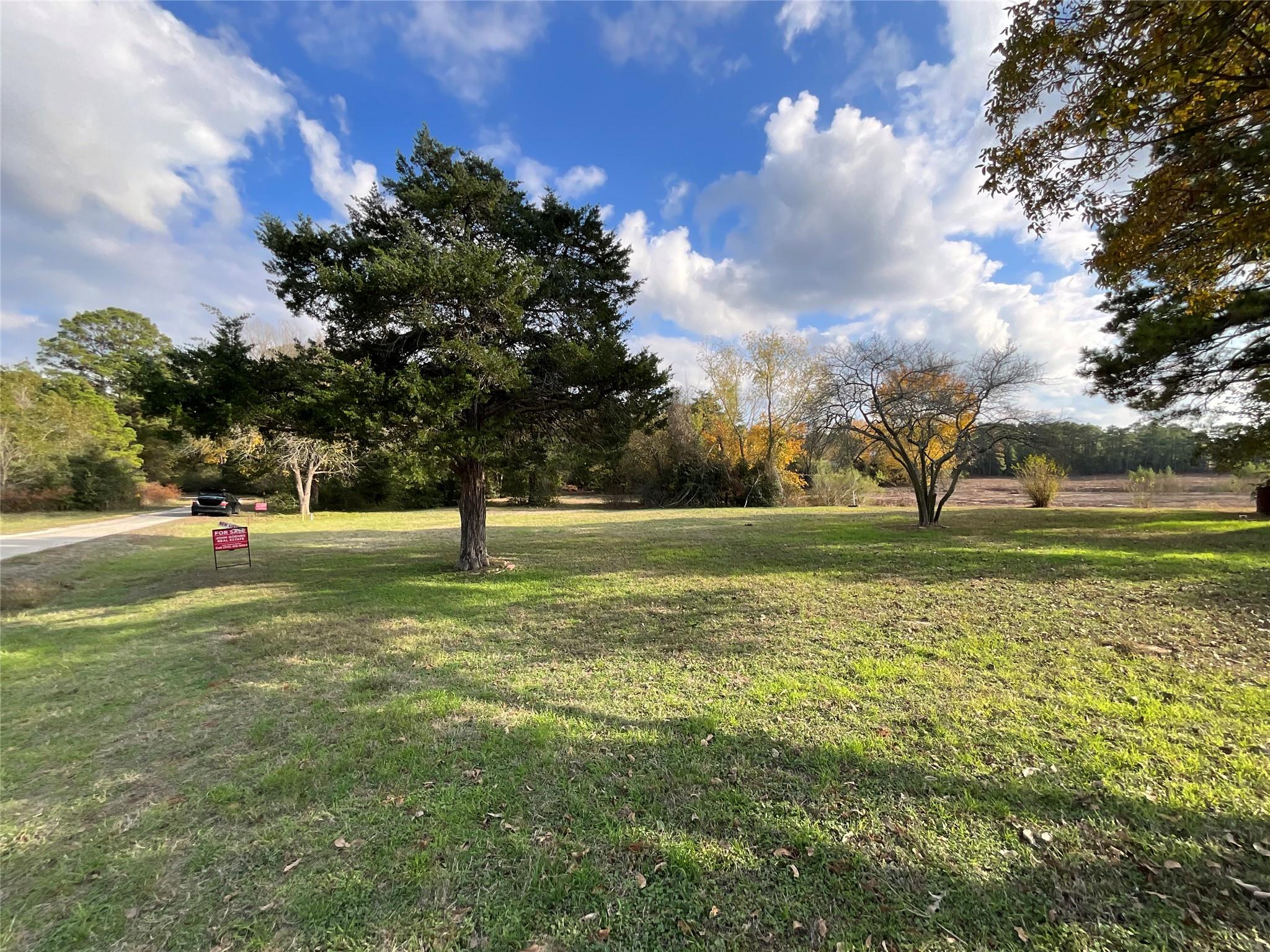 118 Shore Front Dr, Bastrop, TX 78602