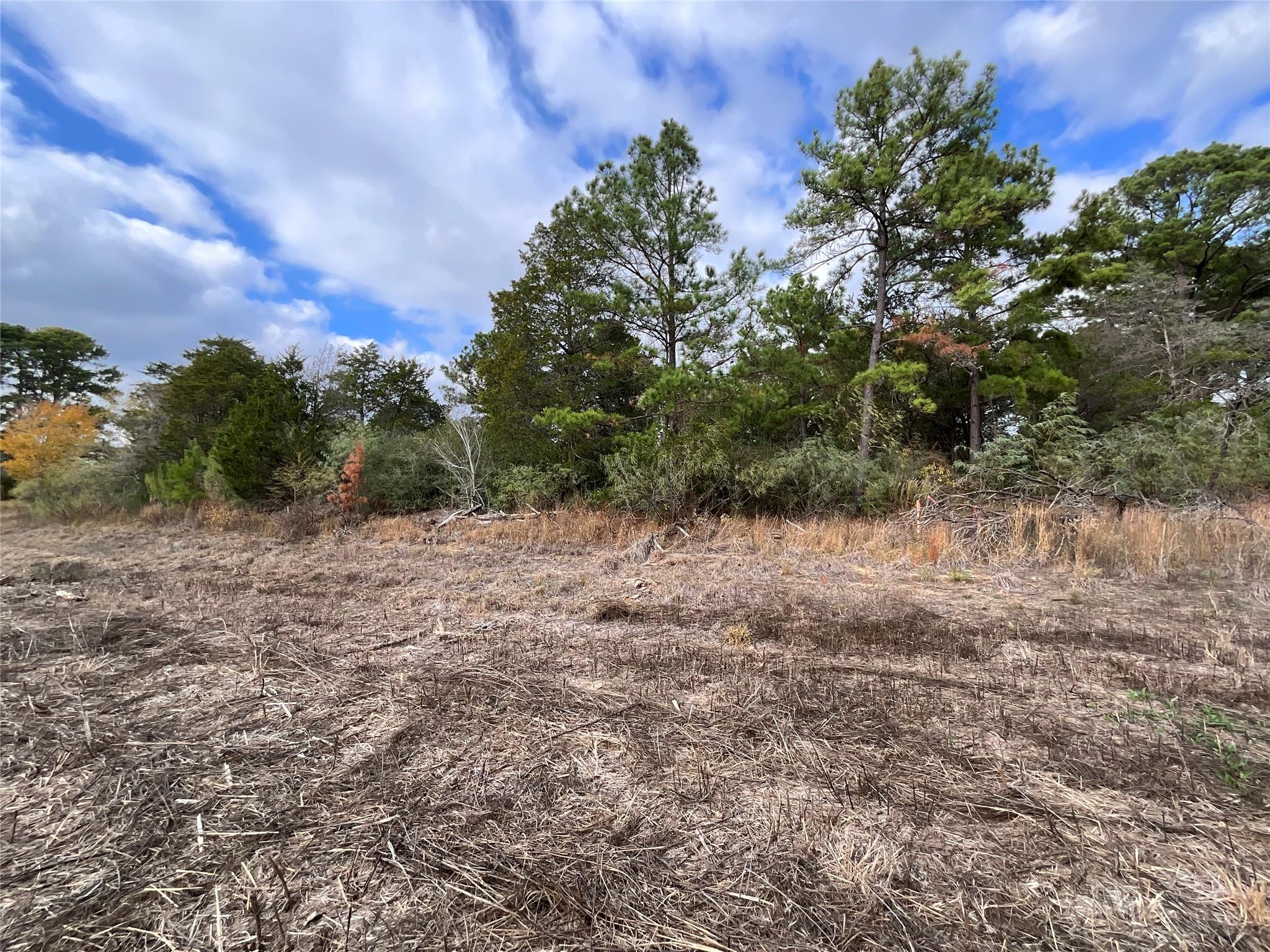 118 Shore Front Dr, Bastrop, TX 78602