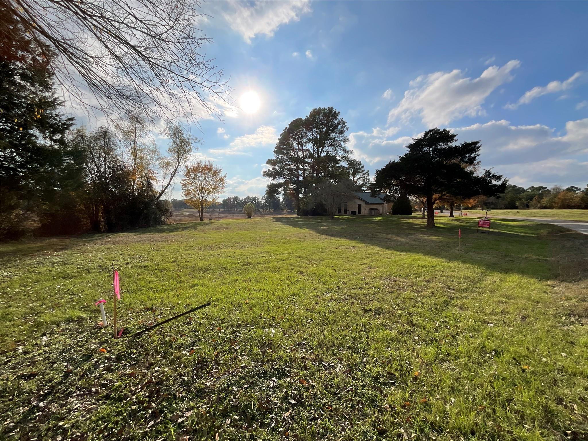 118 Shore Front Dr, Bastrop, TX 78602