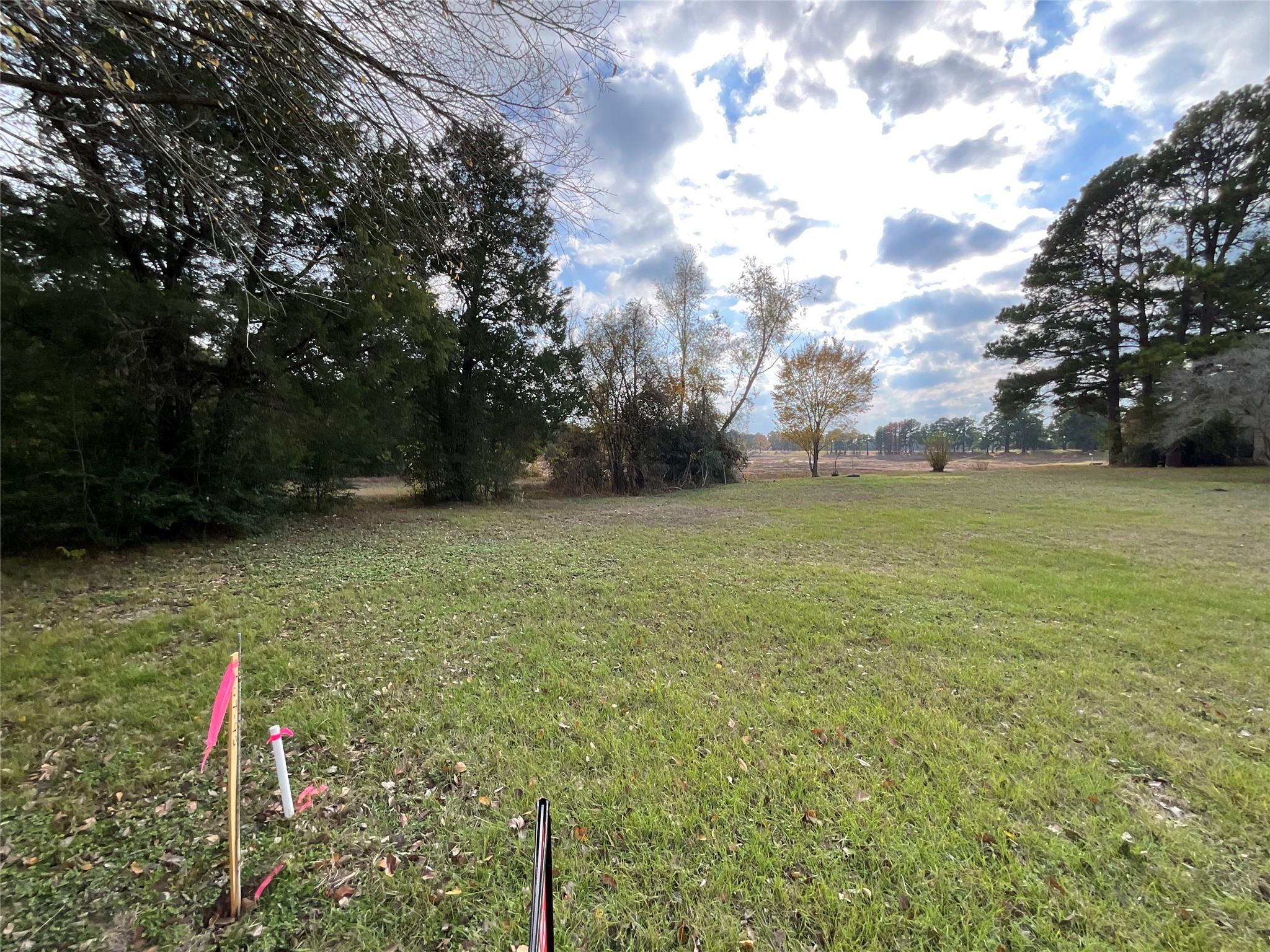 118 Shore Front Dr, Bastrop, TX 78602