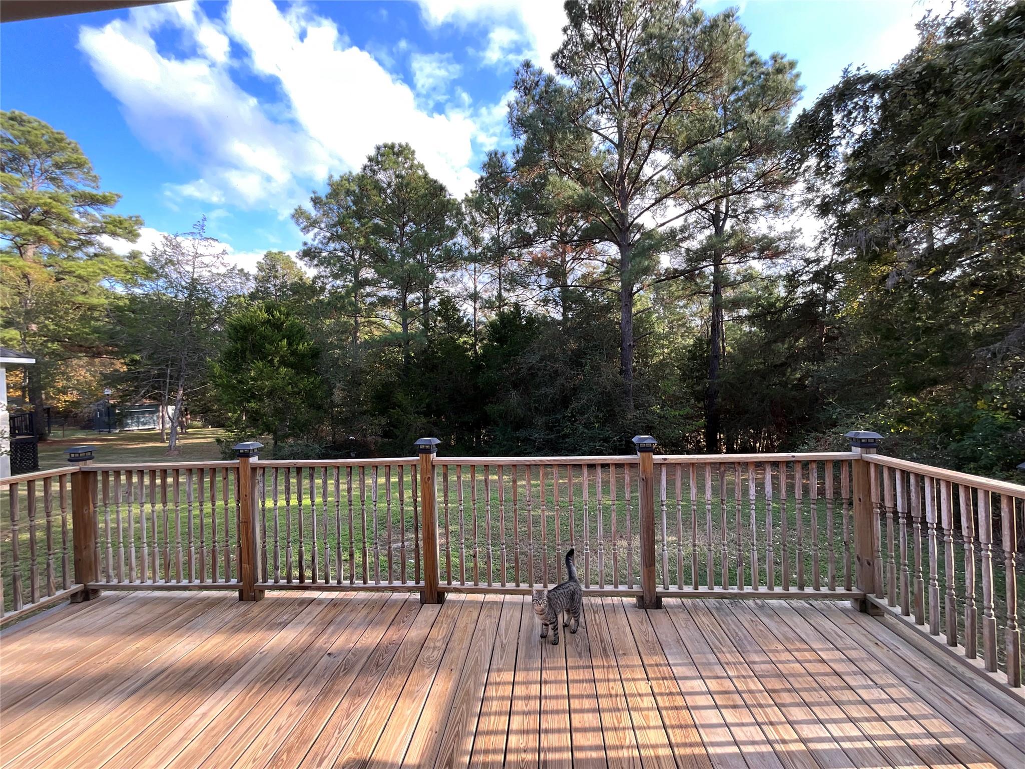 239 Old Firetower Rd, Bastrop, TX 78602