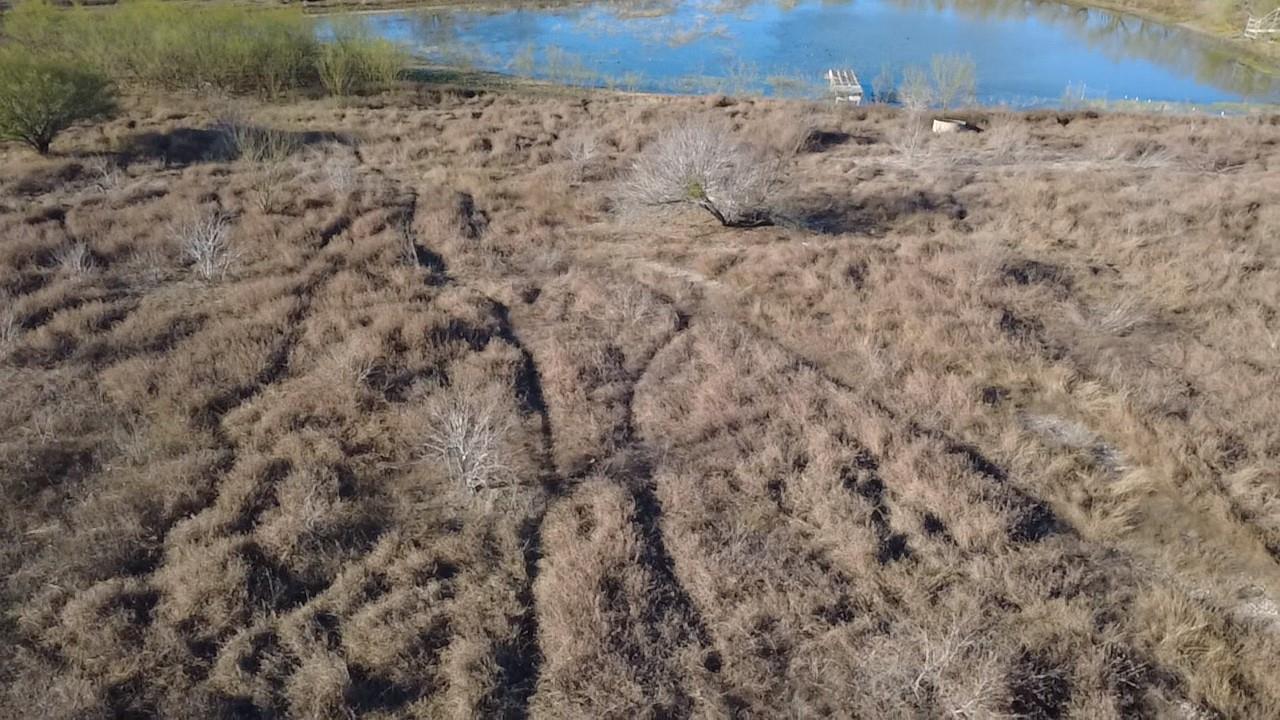 TBD Wade RD and FM 20, Kingsbury, TX 78638