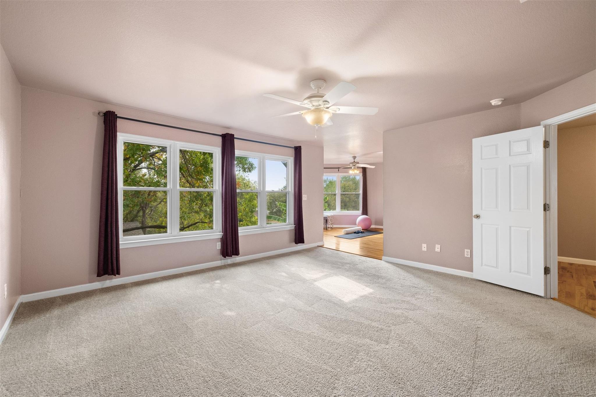 3812 Tailfeather Dr, Round Rock, TX 78681