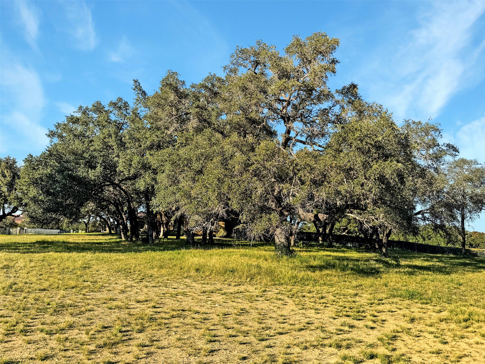 25700 Cliff Circle, Spicewood, TX 78657