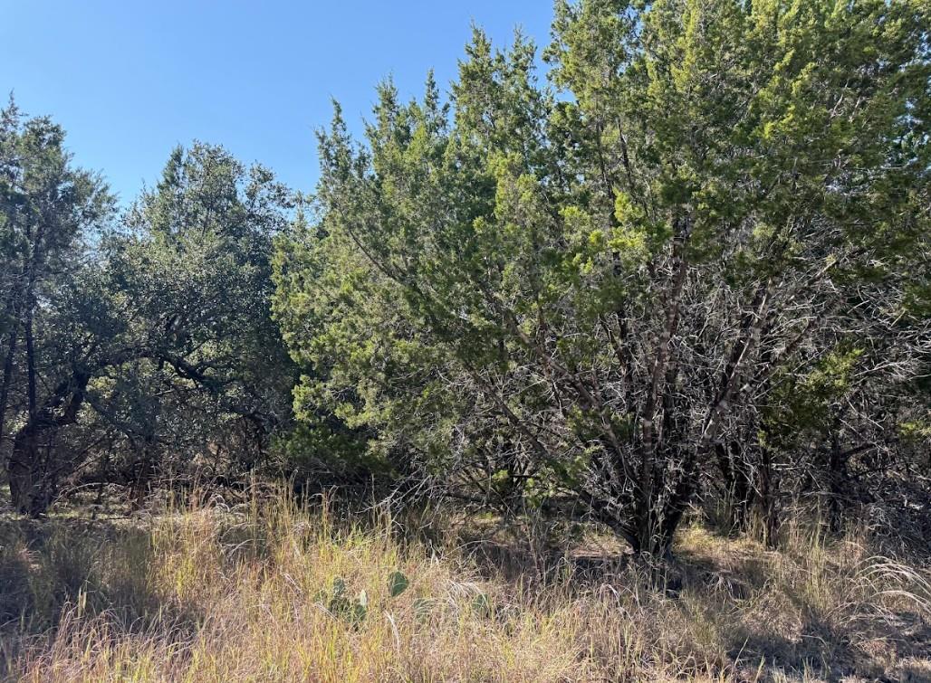 Lot K10037 Drew Drop, Horseshoe Bay, TX 78657