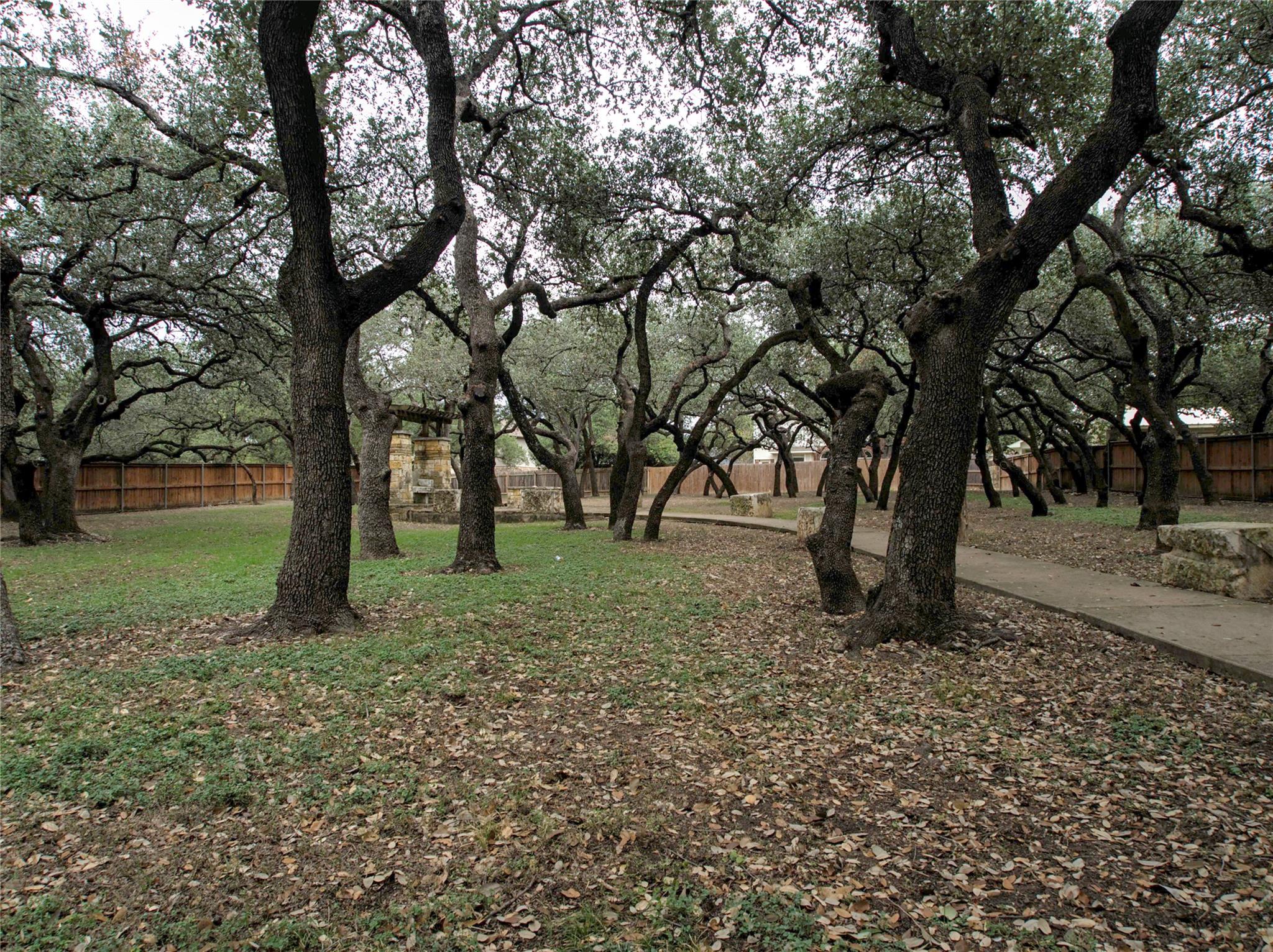 1333 Clary Sage Loop, Round Rock, TX 78665