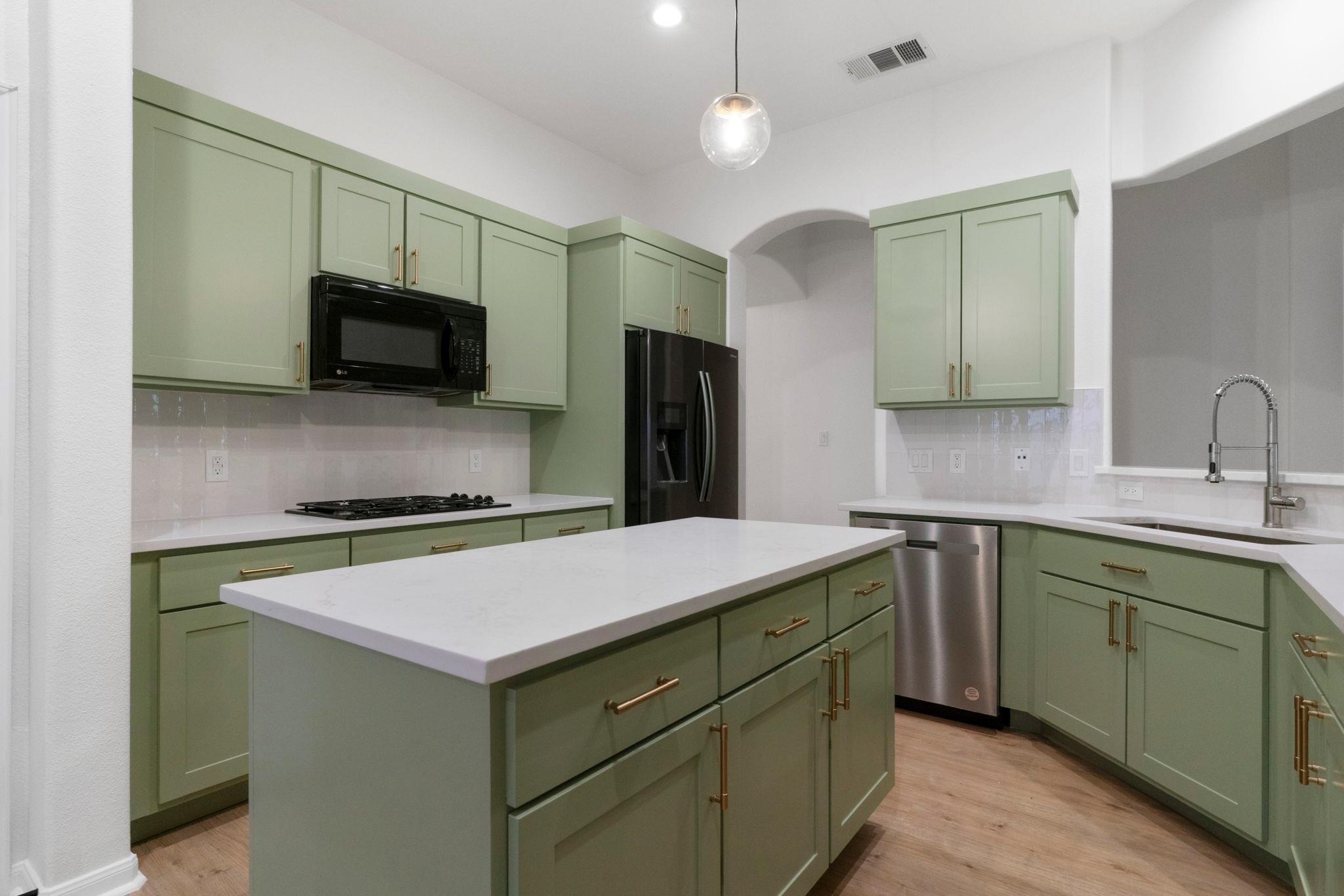 1333 Clary Sage Loop, Round Rock, TX 78665