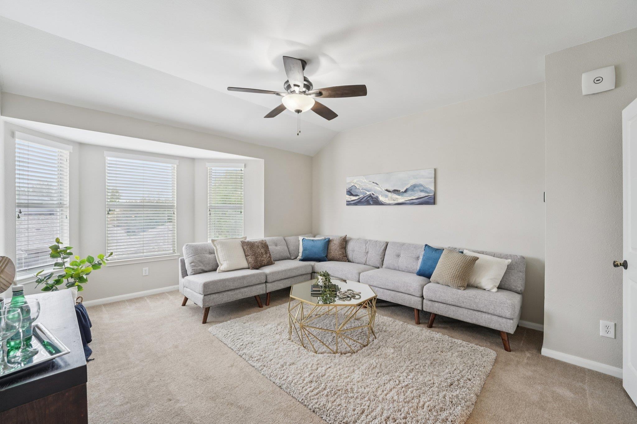 4103 Hidden View Ct, Round Rock, TX 78665