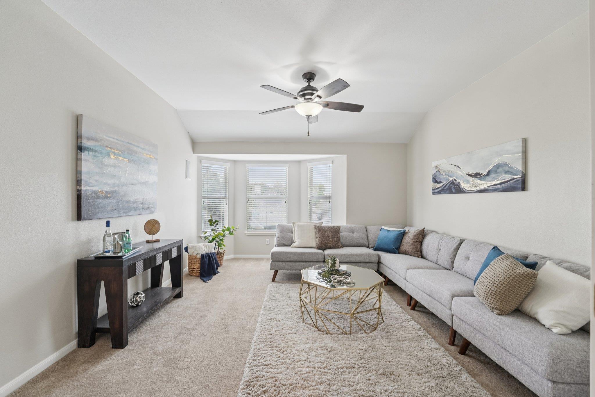 4103 Hidden View Ct, Round Rock, TX 78665