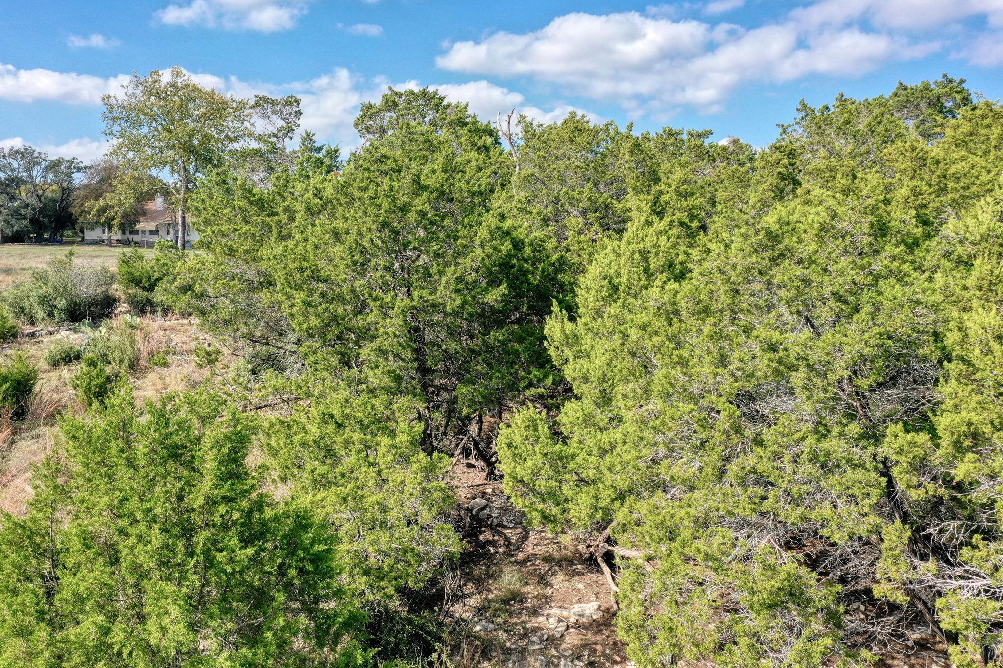 20808 Harrison Cv, Lago Vista, TX 78645