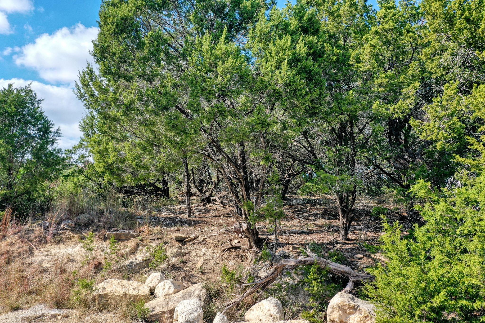 20808 Harrison Cv, Lago Vista, TX 78645