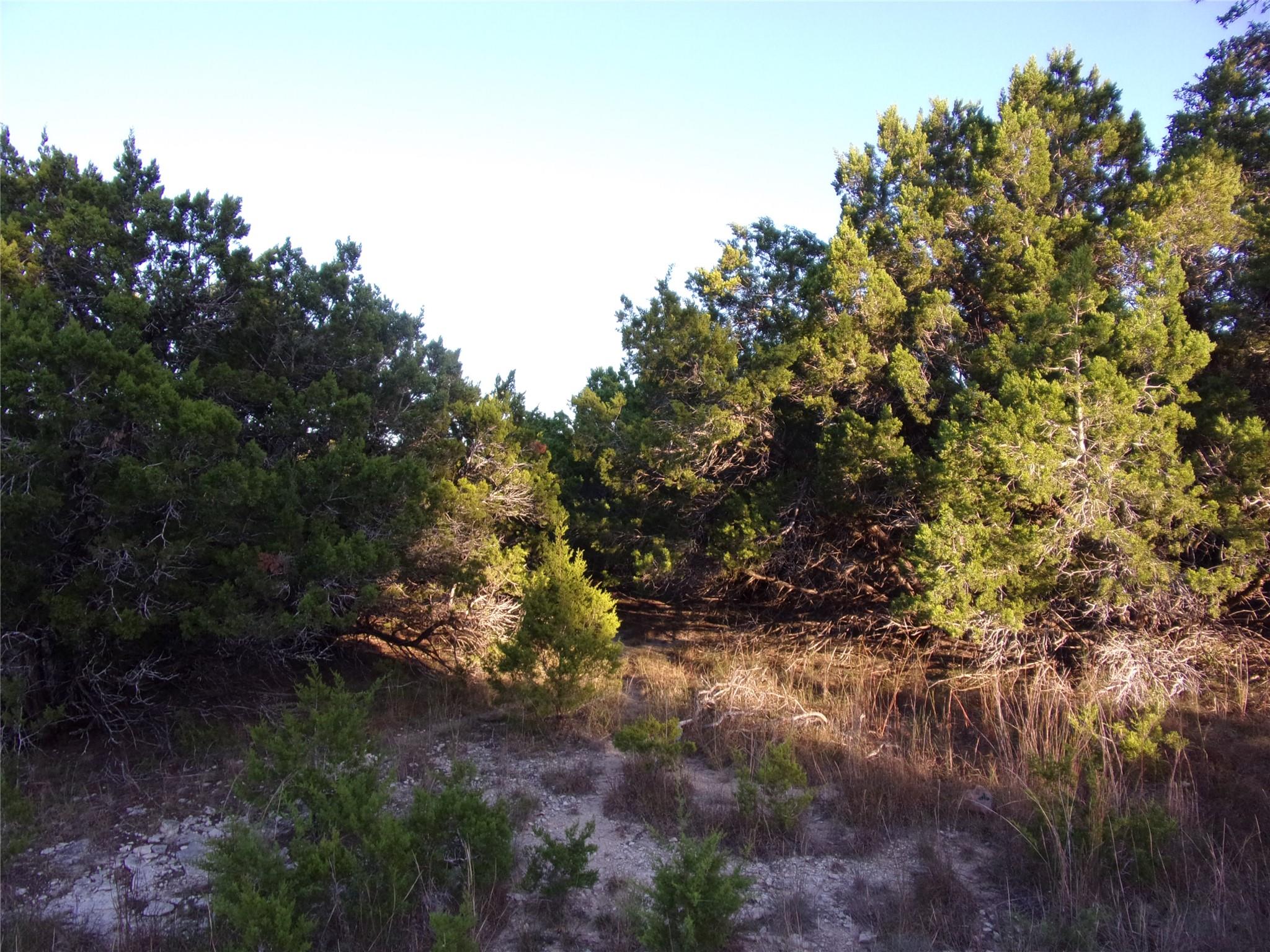 361/395 Mountain Wood Dr, Canyon Lake, TX 78133