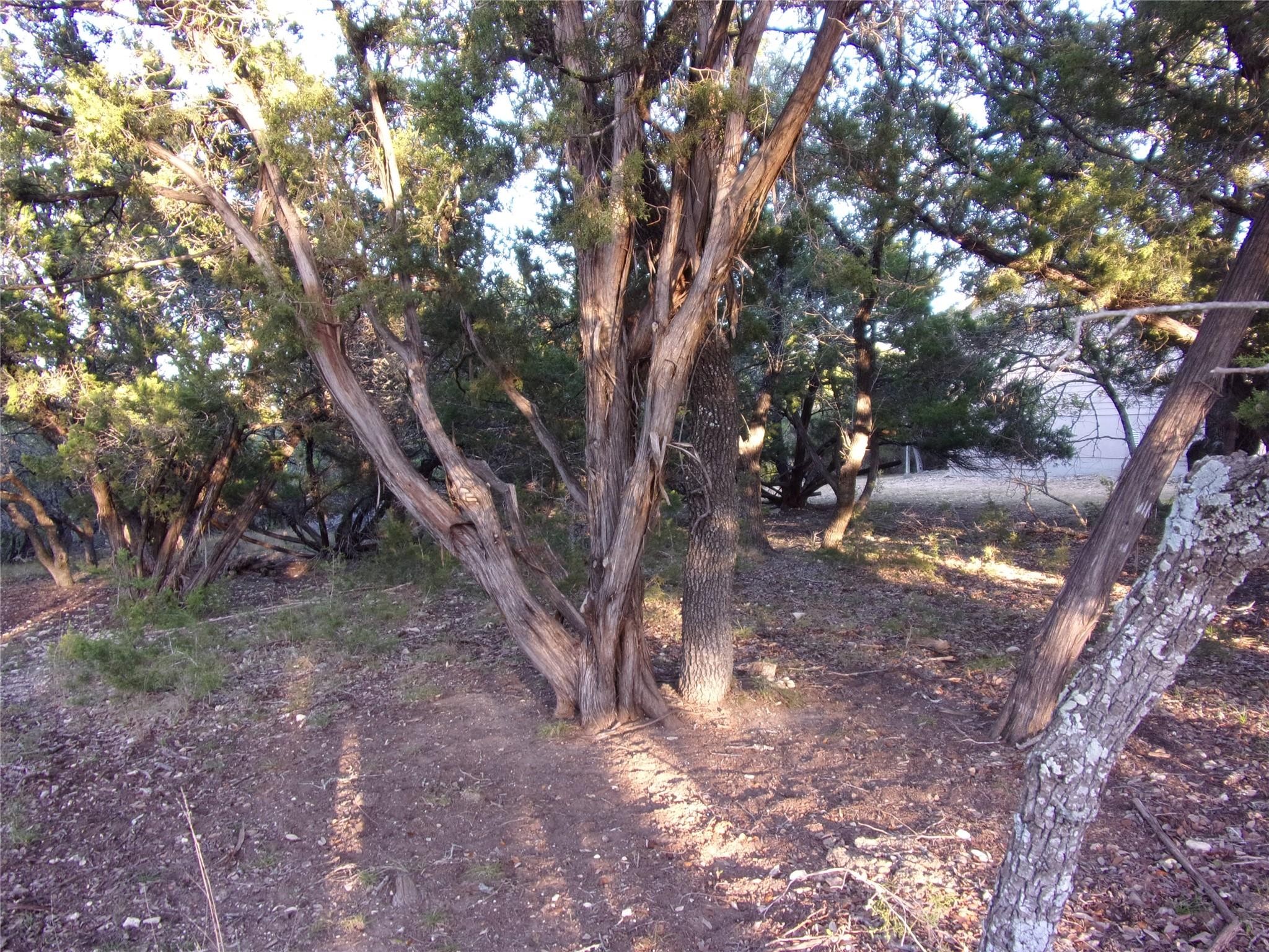 361/395 Mountain Wood Dr, Canyon Lake, TX 78133