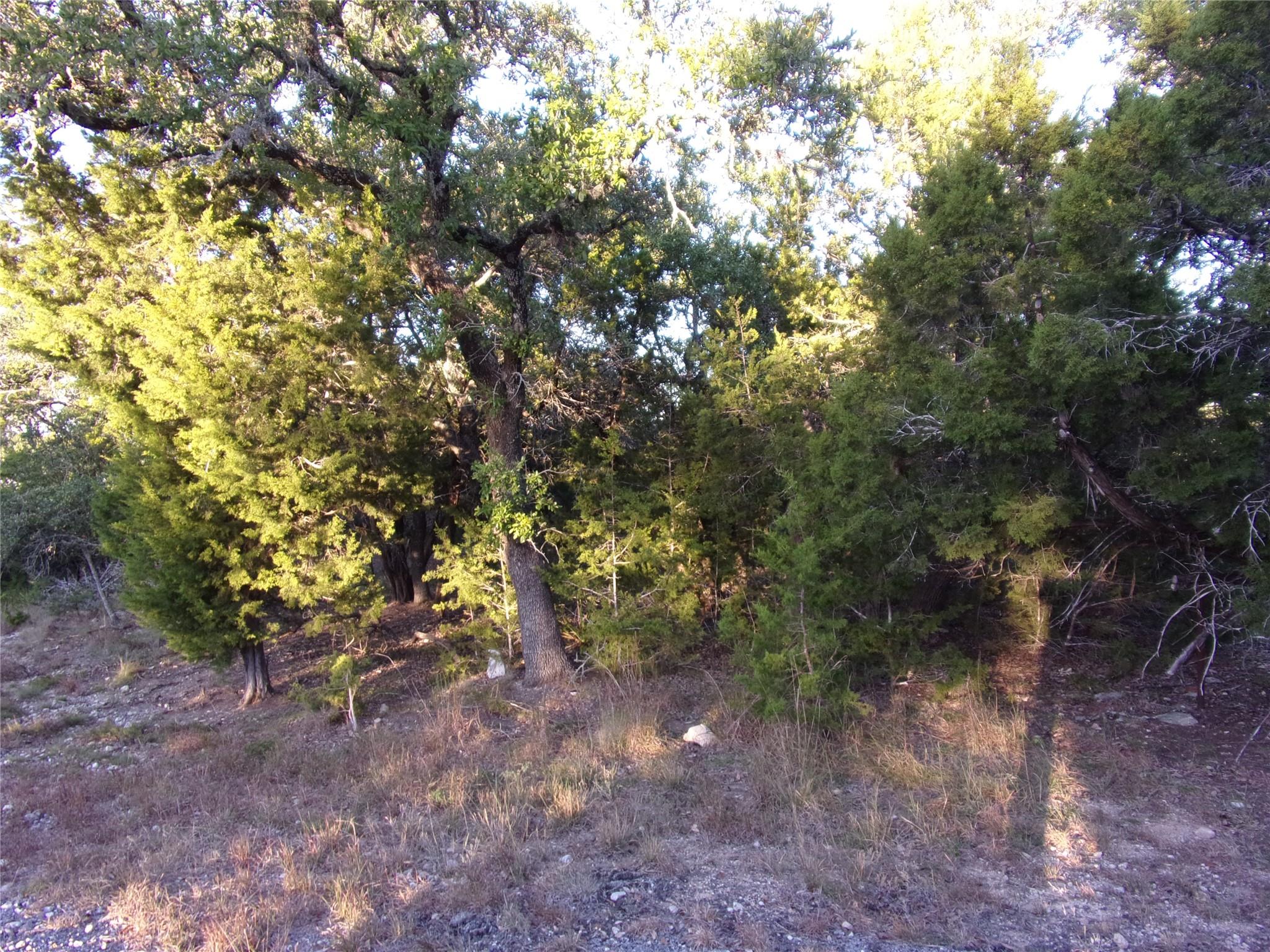 361/395 Mountain Wood Dr, Canyon Lake, TX 78133