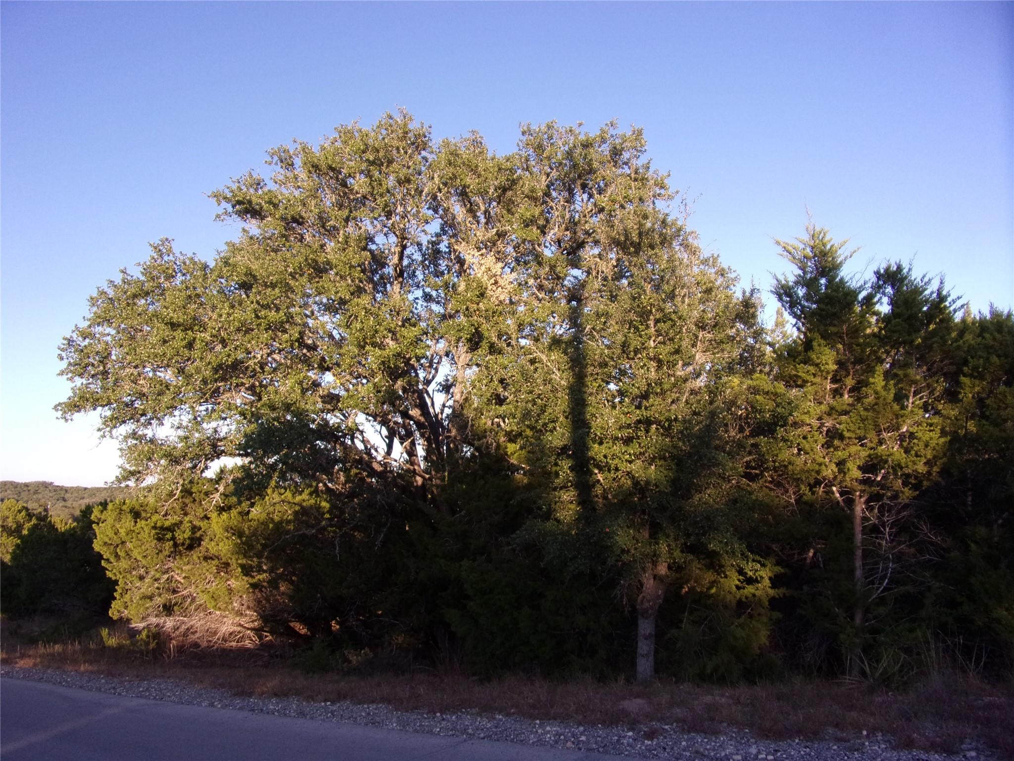 361/395 Mountain Wood Dr, Canyon Lake, TX 78133