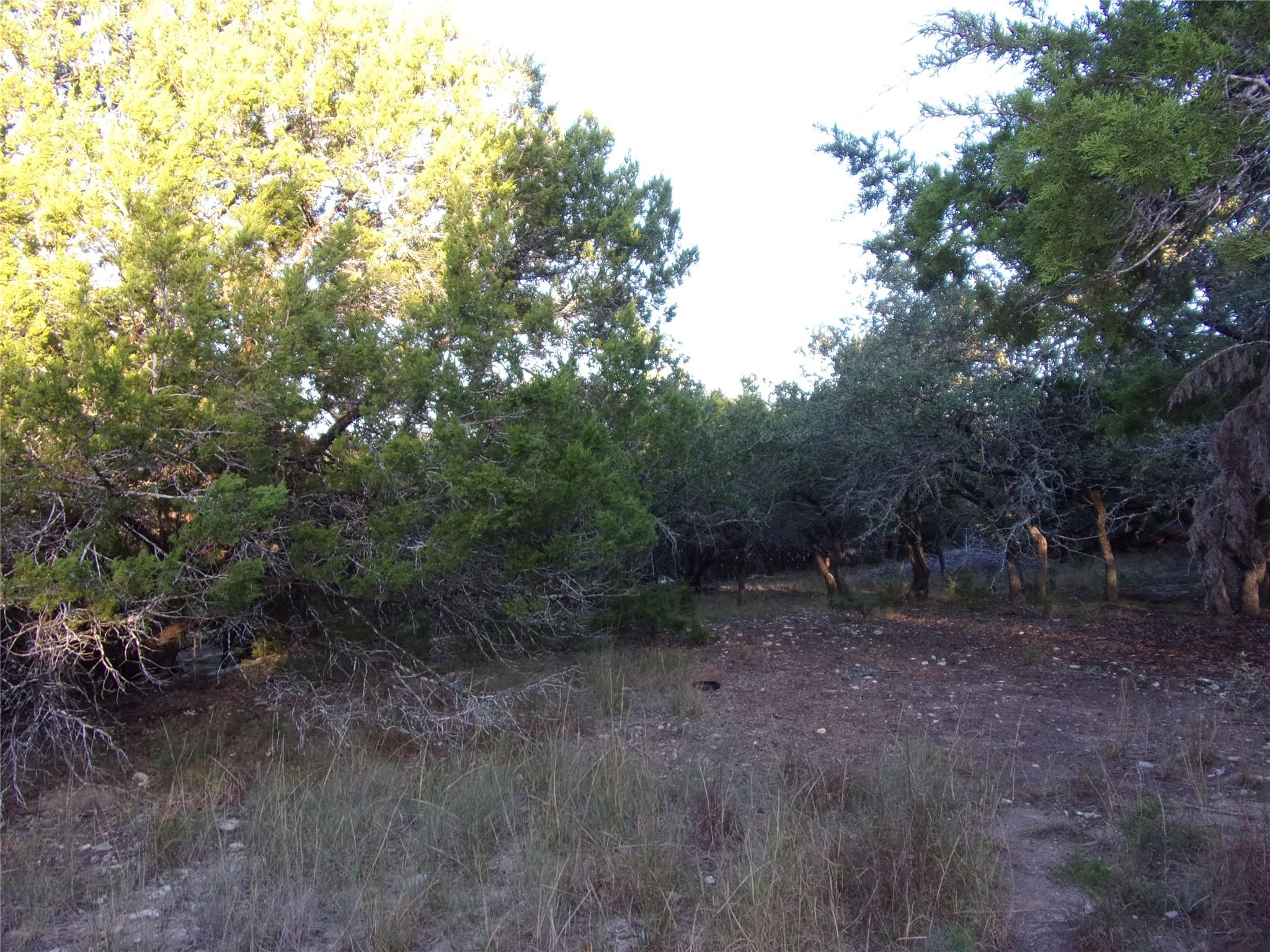 361/395 Mountain Wood Dr, Canyon Lake, TX 78133