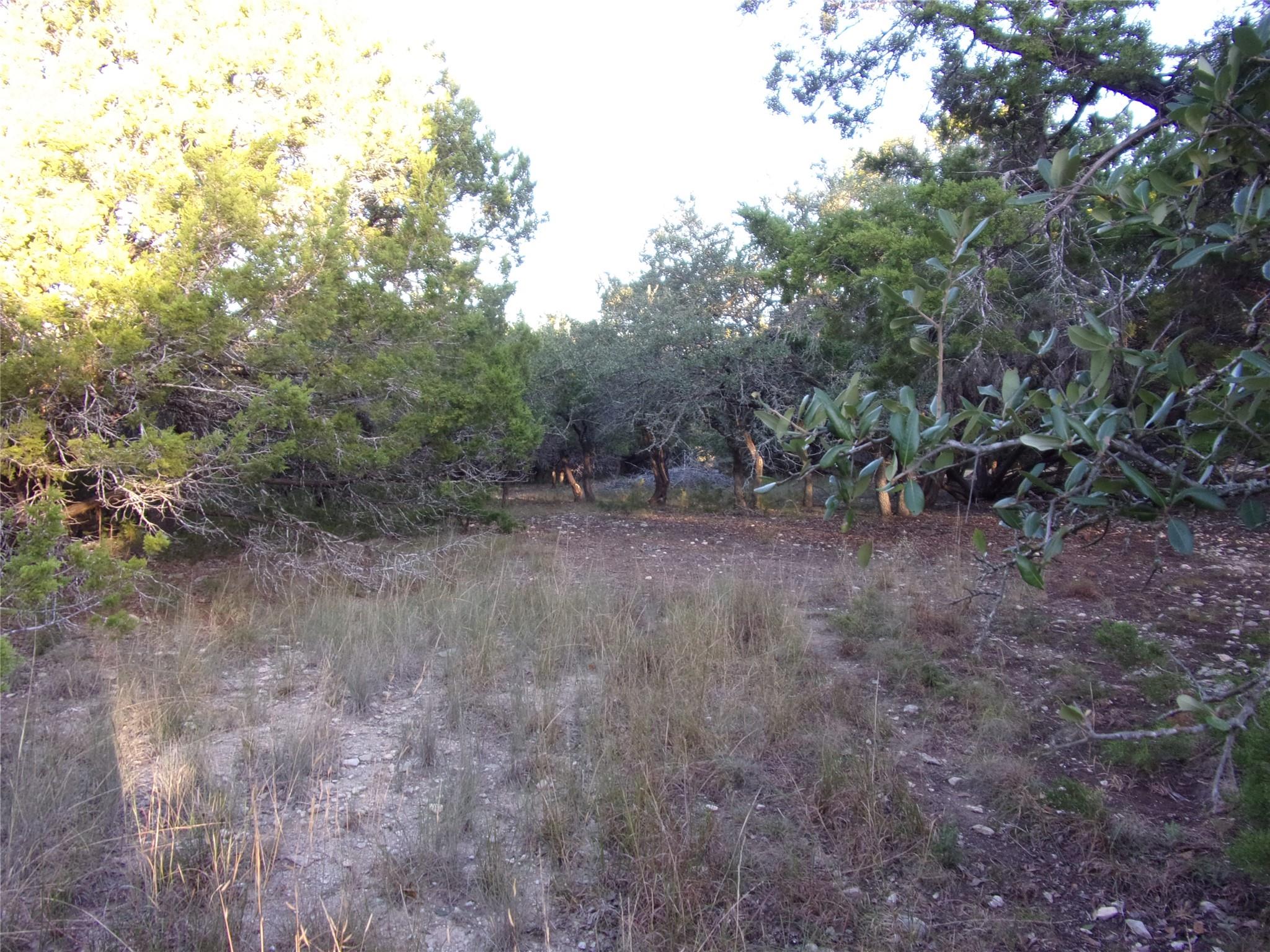 361/395 Mountain Wood Dr, Canyon Lake, TX 78133