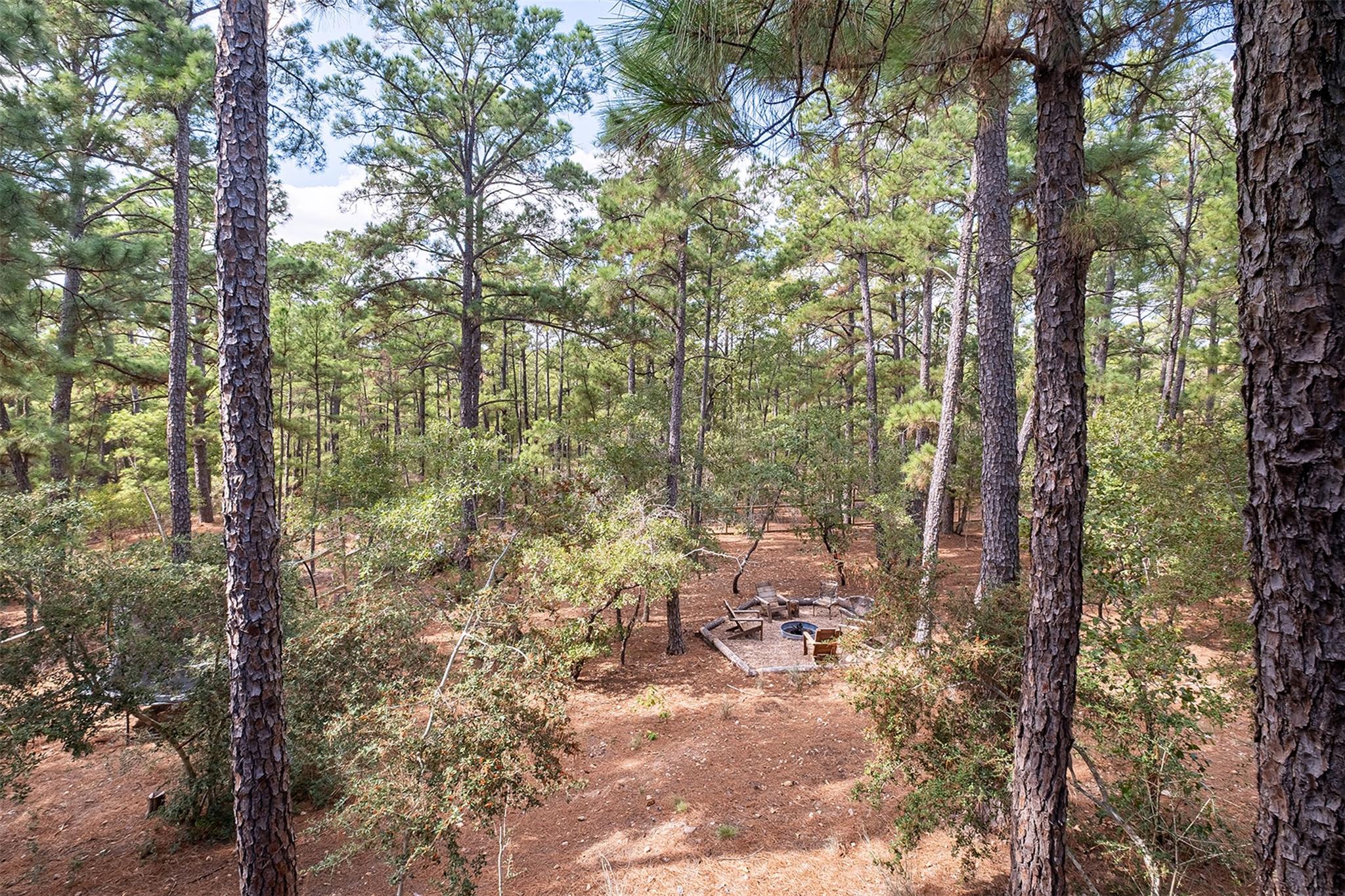 176 Briar Forest Dr, Bastrop, TX 78602