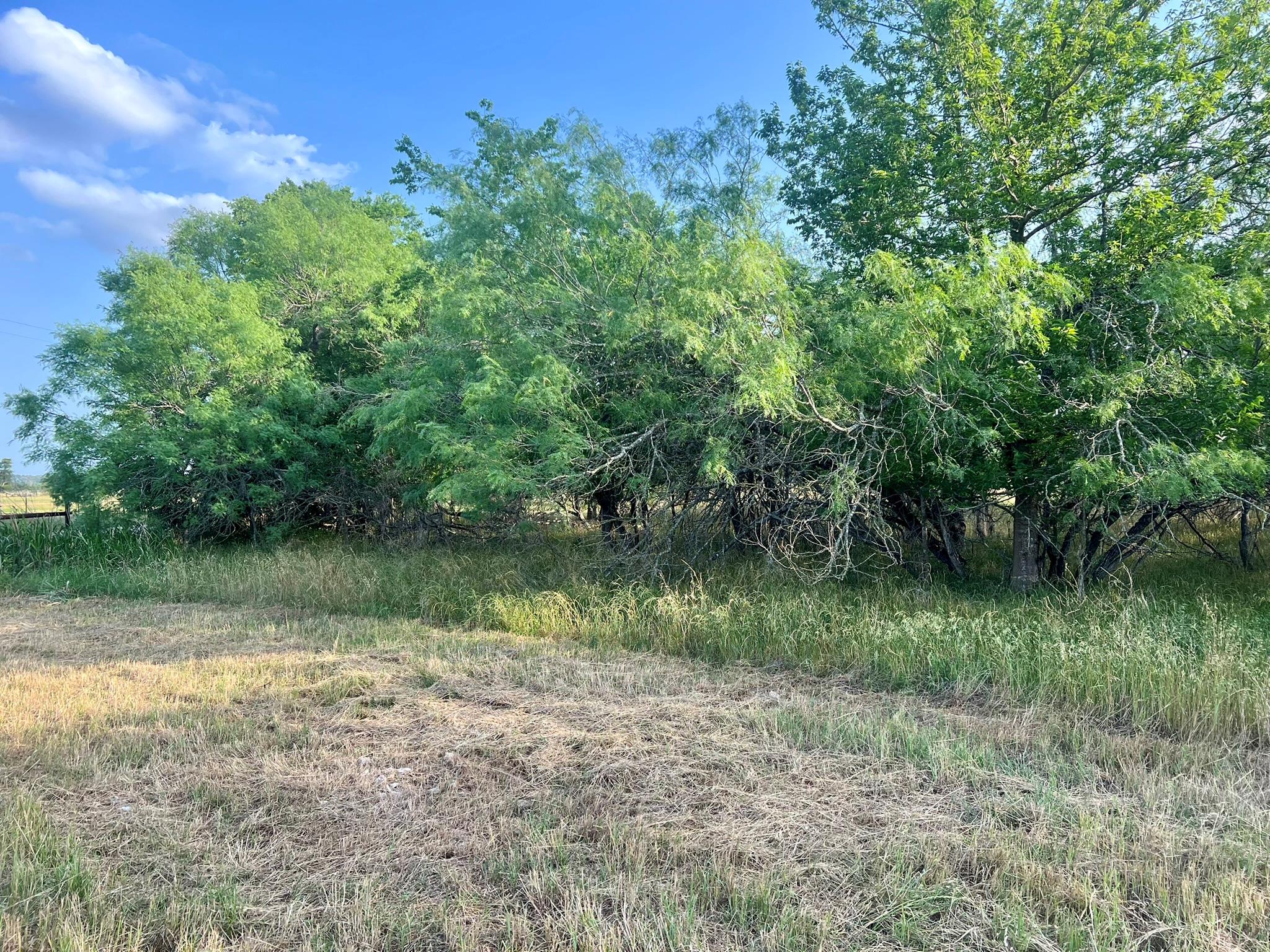 0000 Hidden Shores Rd, Smithville, TX 78957