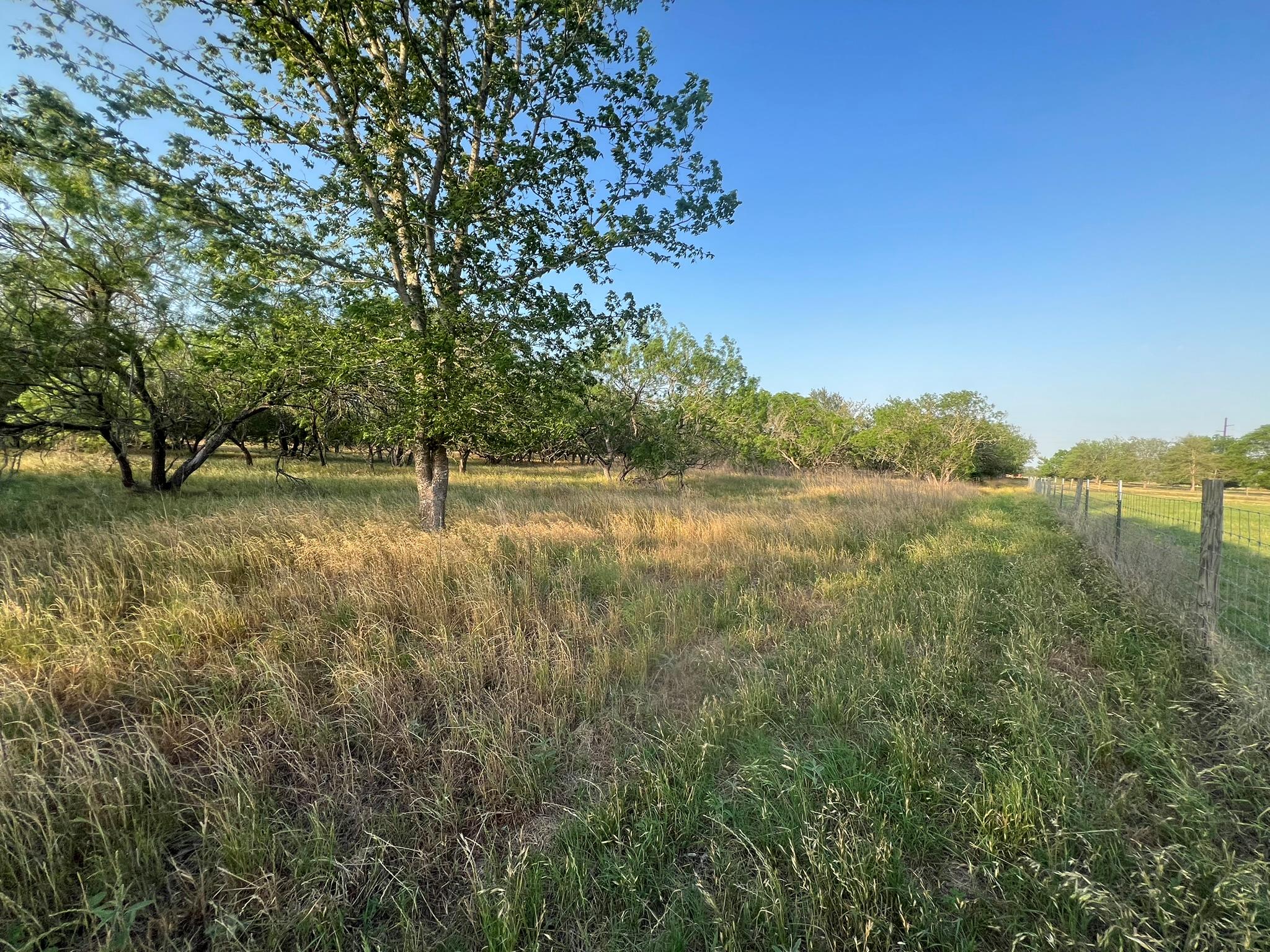 0000 Hidden Shores Rd, Smithville, TX 78957