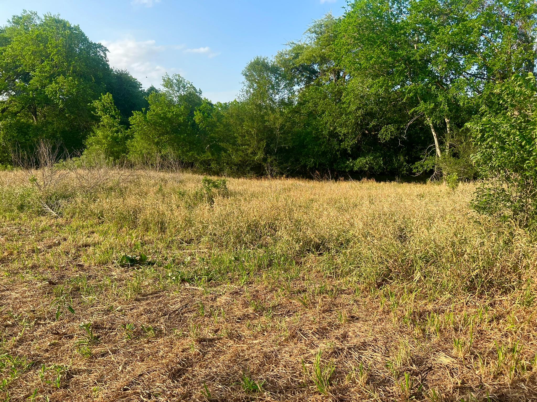0000 Hidden Shores Rd, Smithville, TX 78957