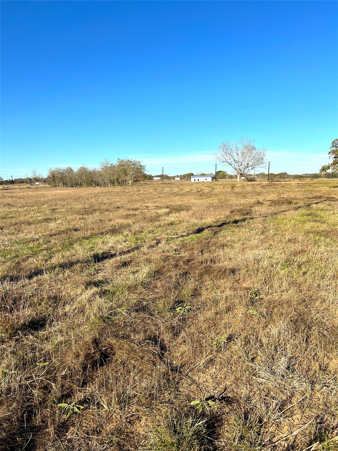 0000 HWY 304 Highway, Rosanky, TX 78953