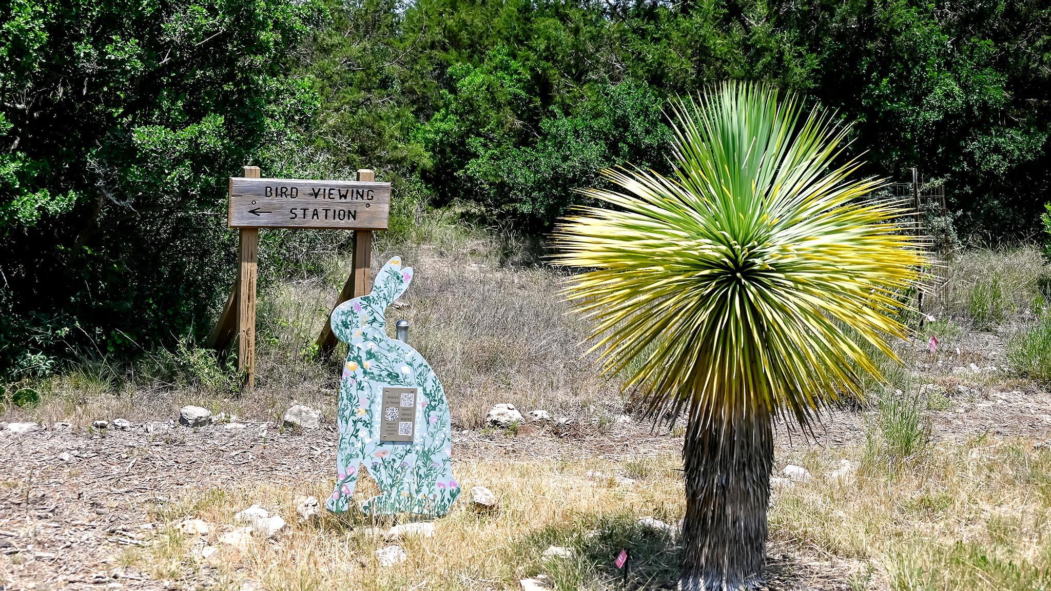 129 Trickling Brook Rd, Austin, TX 78737