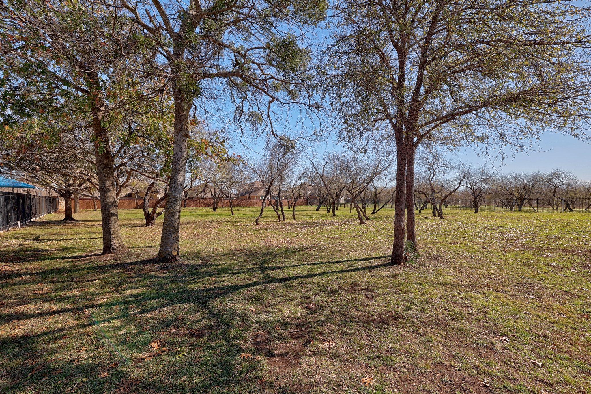221 Mystic Holw, Buda, TX 78610