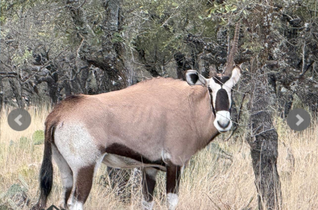 14410 E Us Highway 190, Eldorado, TX 76841