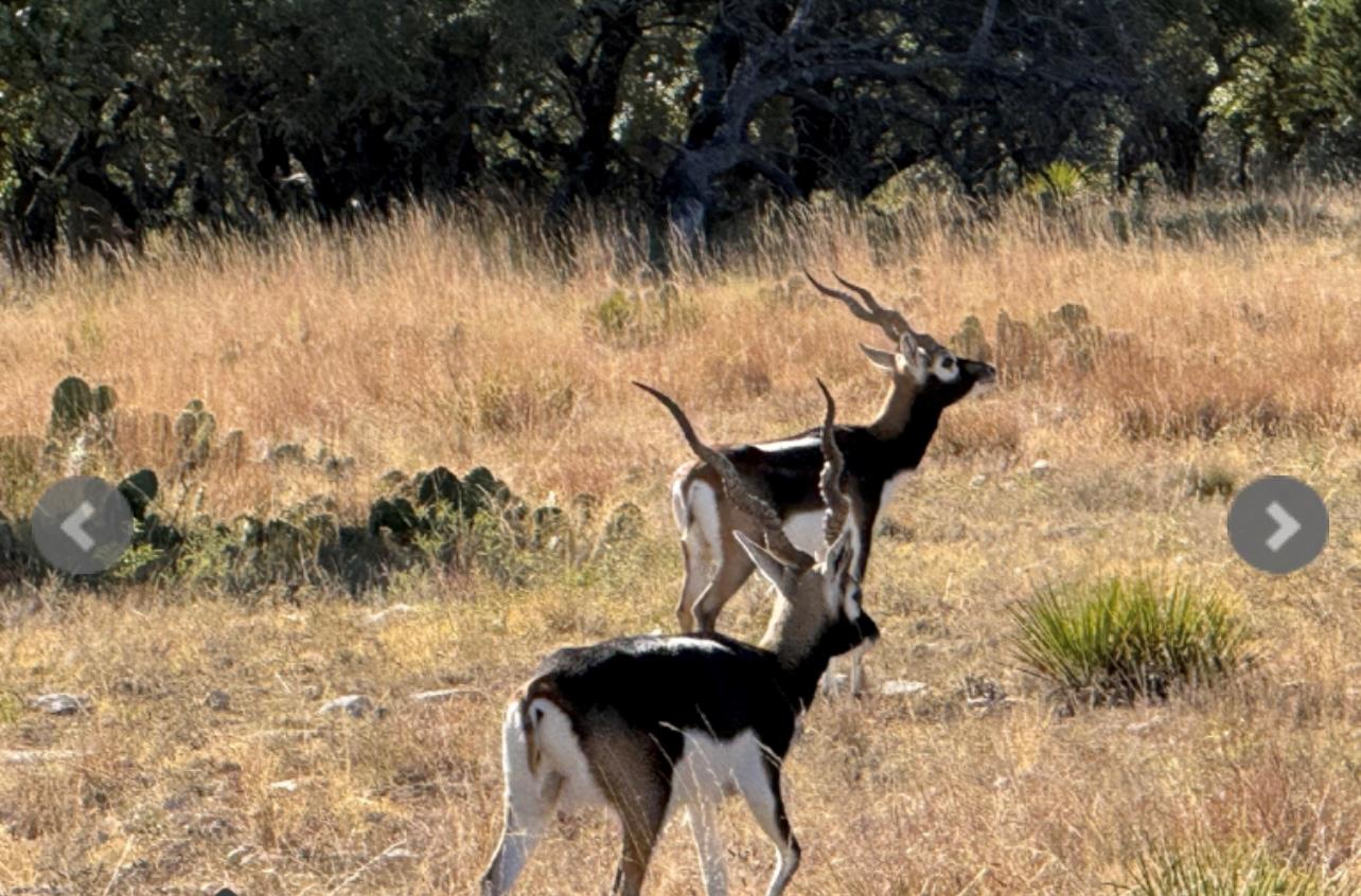 14410 E Us Highway 190, Eldorado, TX 76841