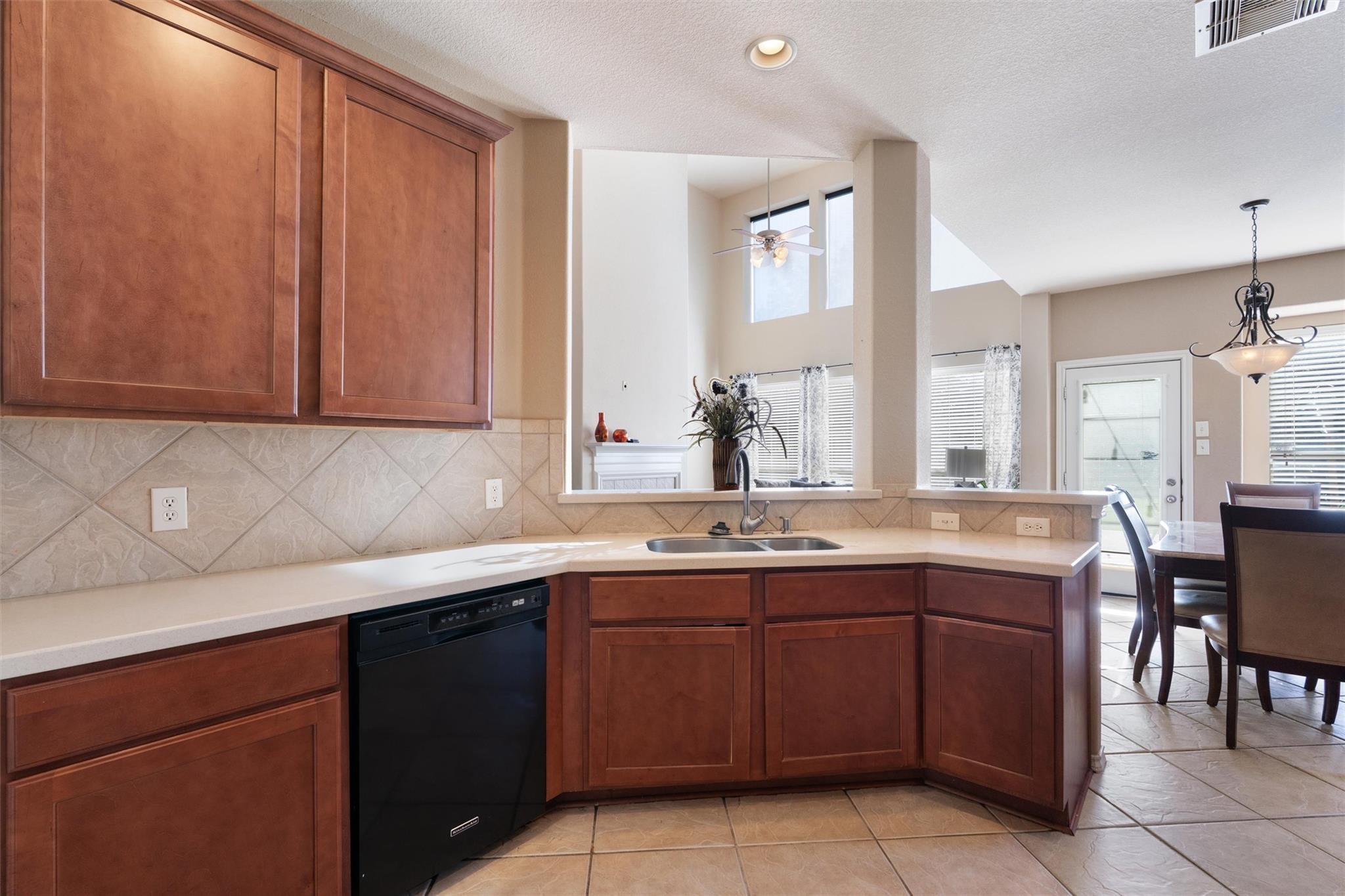 13505 Green Lodge Ct, Manor, TX 78653