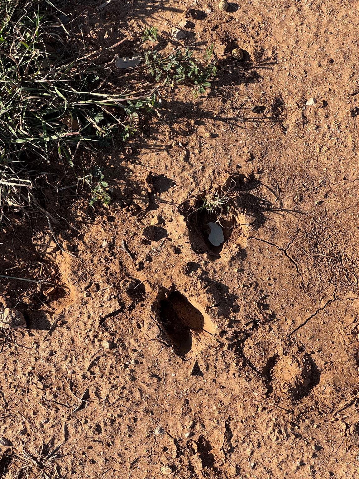 60 Coastal Loop, Johnson City, TX 78636