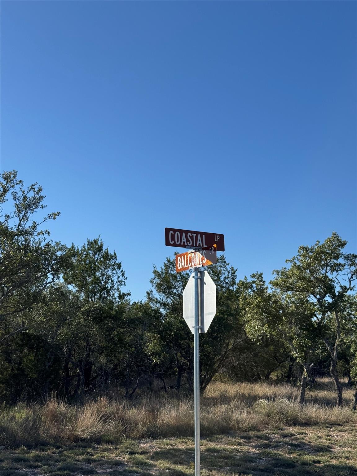 60 Coastal Loop, Johnson City, TX 78636