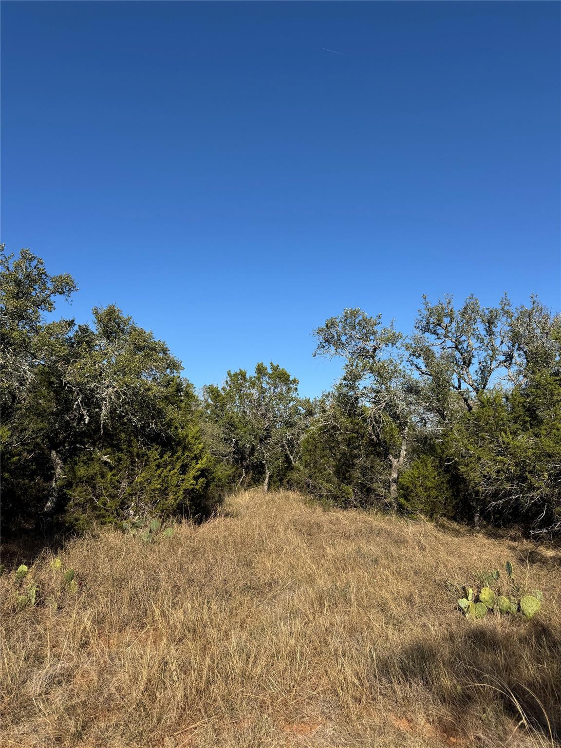 60 Coastal Loop, Johnson City, TX 78636