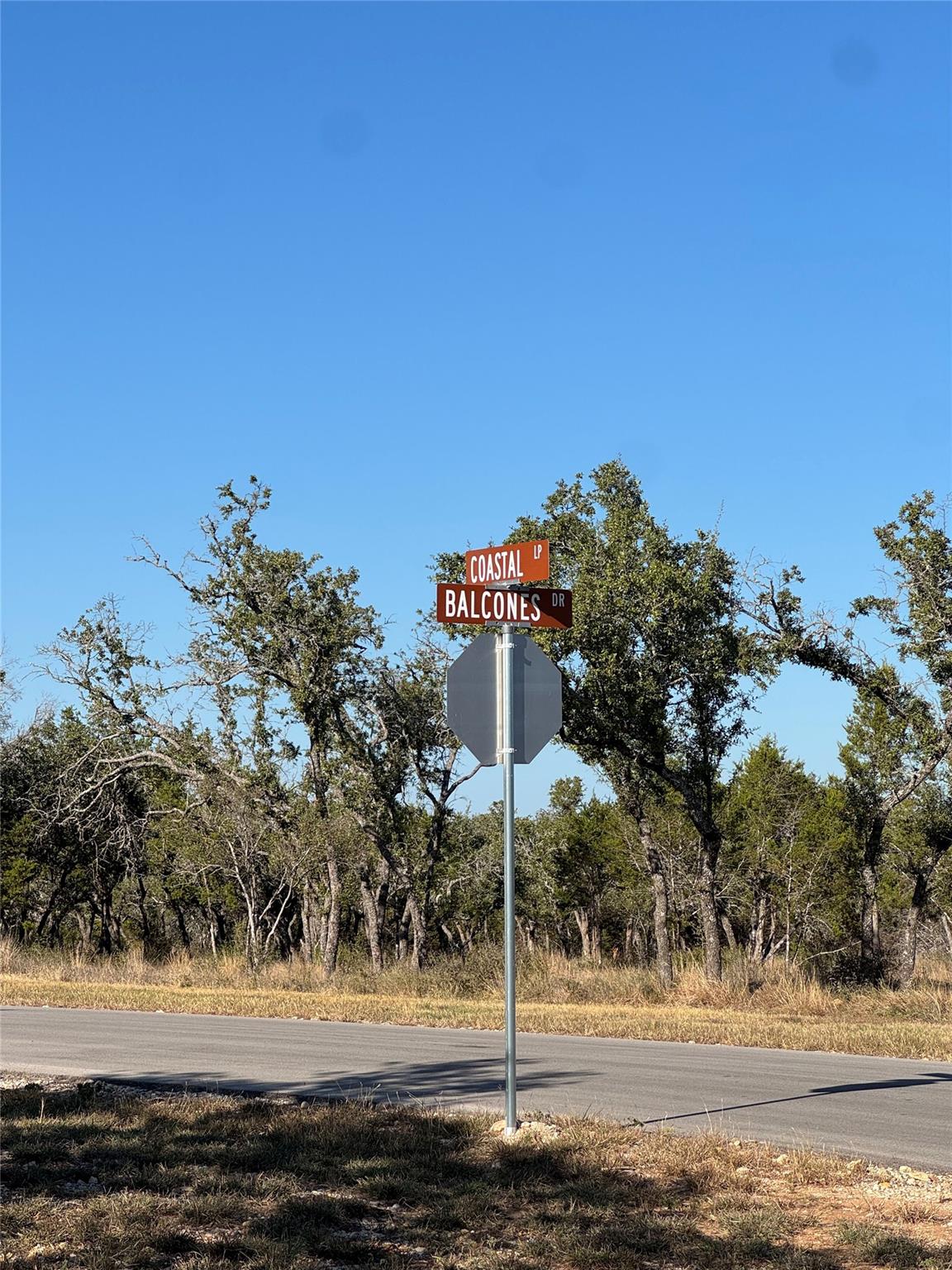 60 Coastal Loop, Johnson City, TX 78636