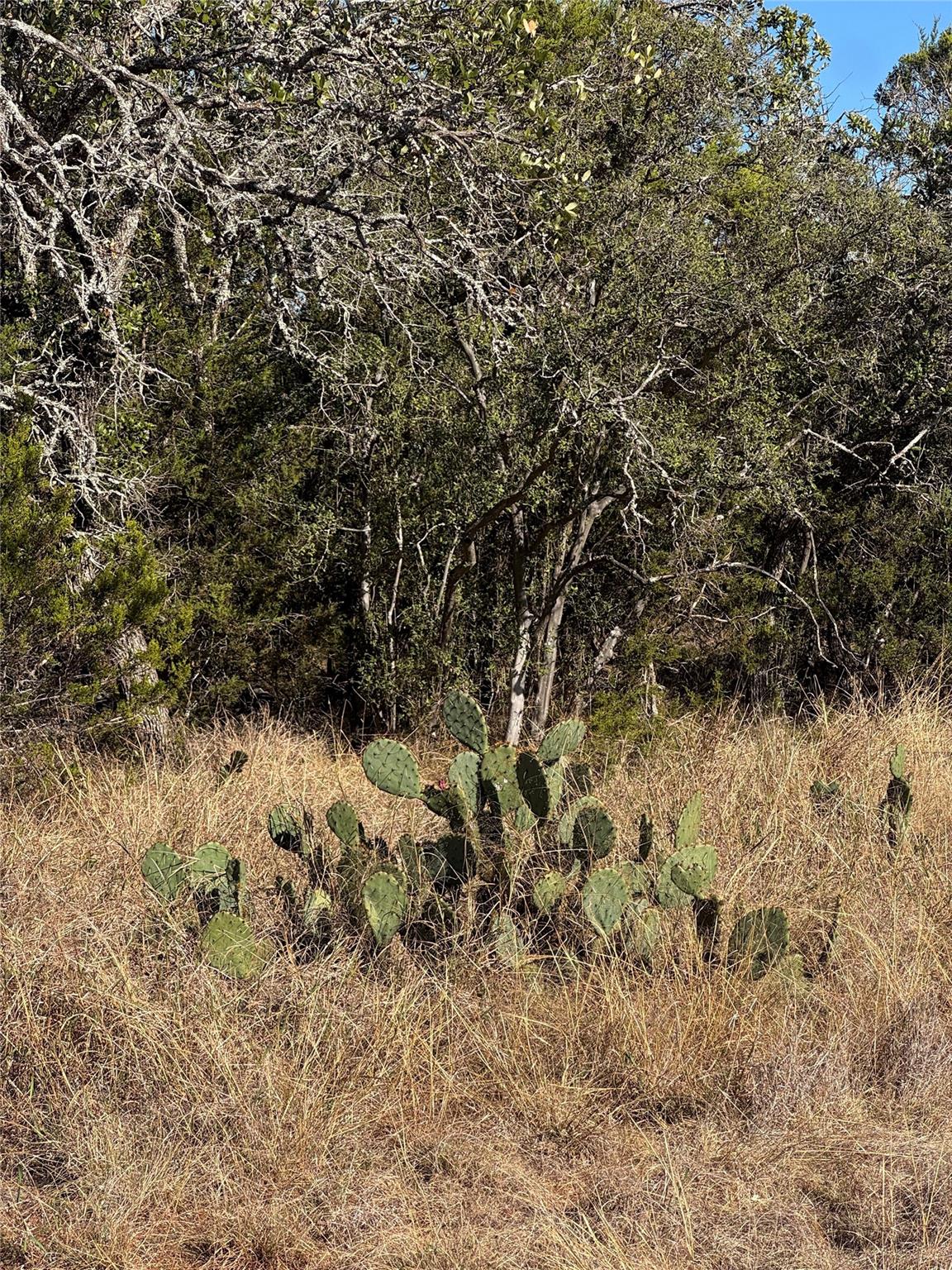 60 Coastal Loop, Johnson City, TX 78636