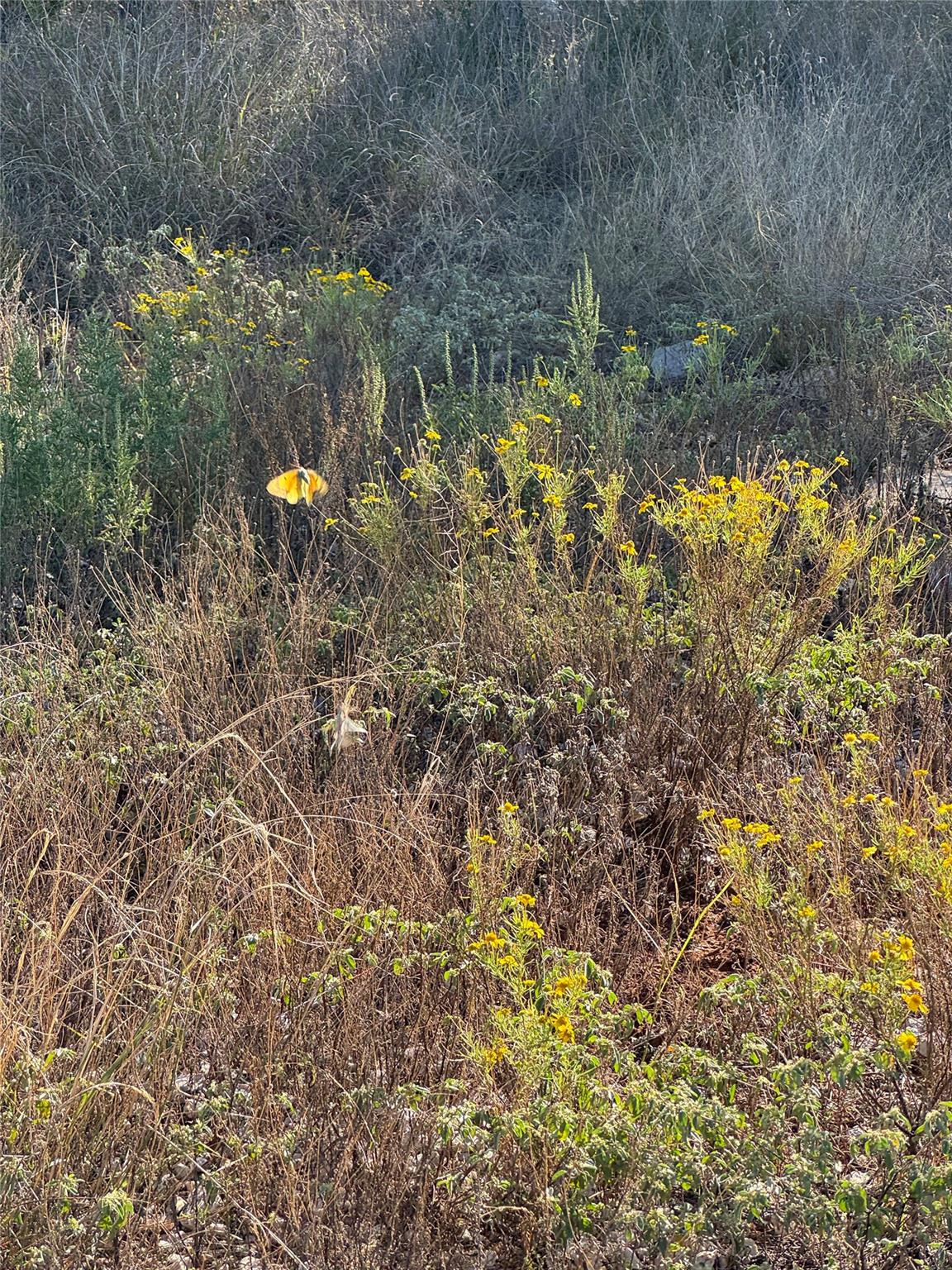 60 Coastal Loop, Johnson City, TX 78636