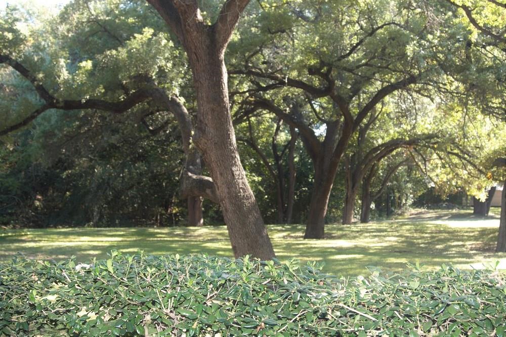 1601 Faro Dr # 1704, Austin, TX 78741