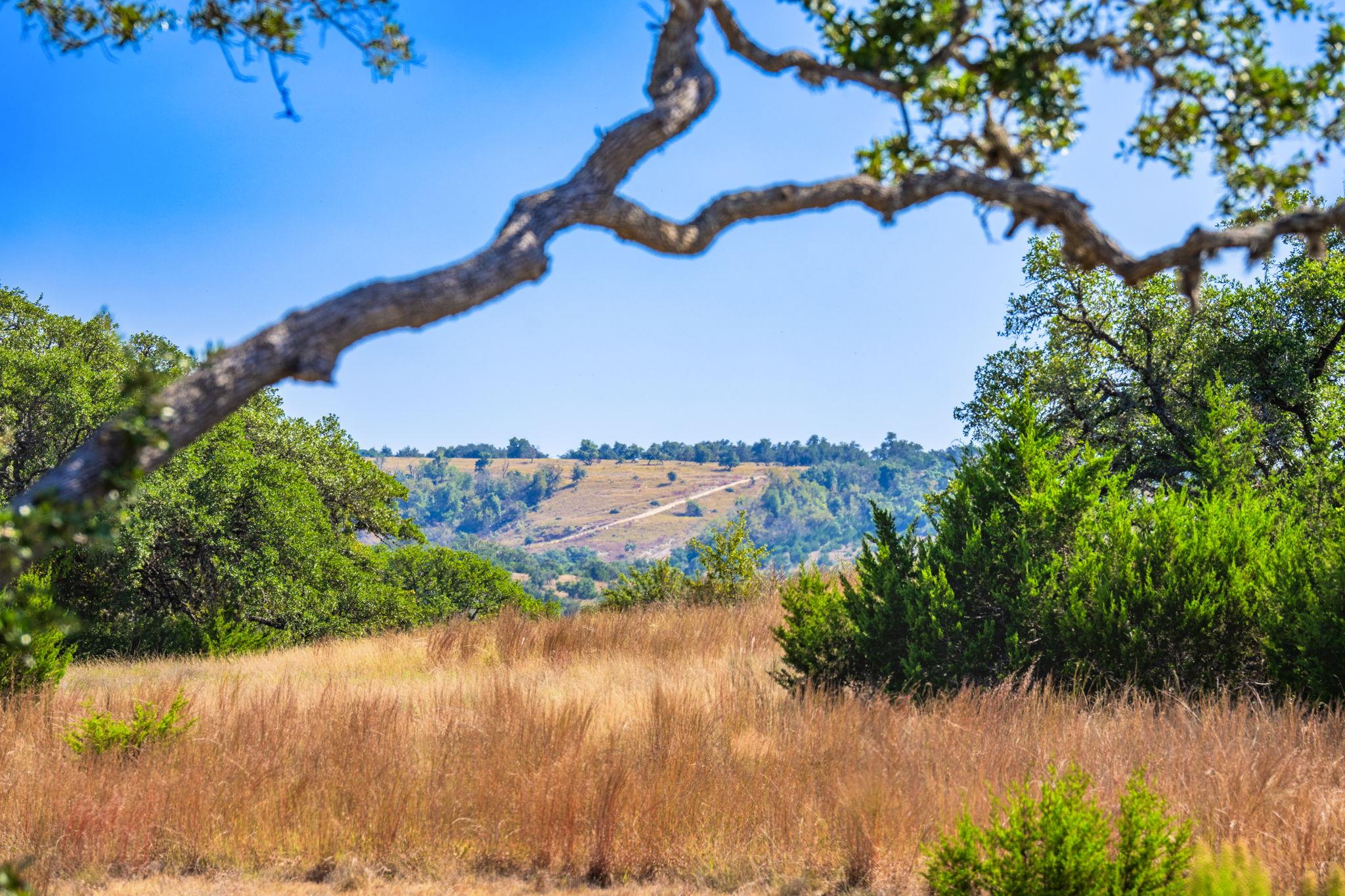 1495 Walnut Springs Rd, Johnson City, TX 78636