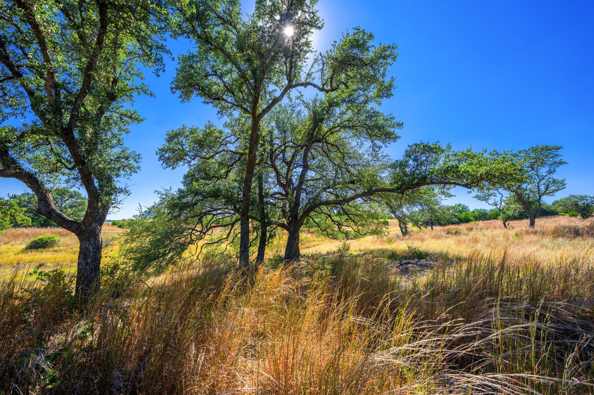 1495 Walnut Springs Rd, Johnson City, TX 78636