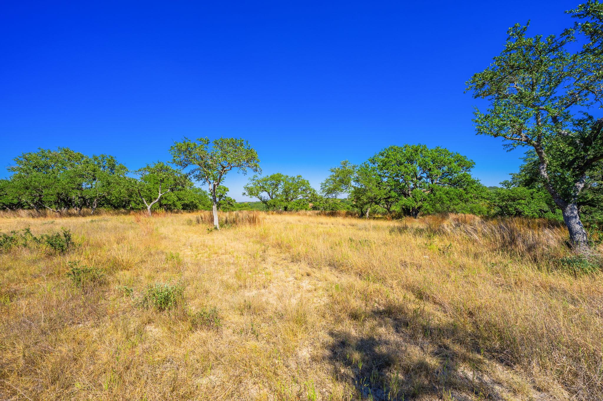 1495 Walnut Springs Rd, Johnson City, TX 78636