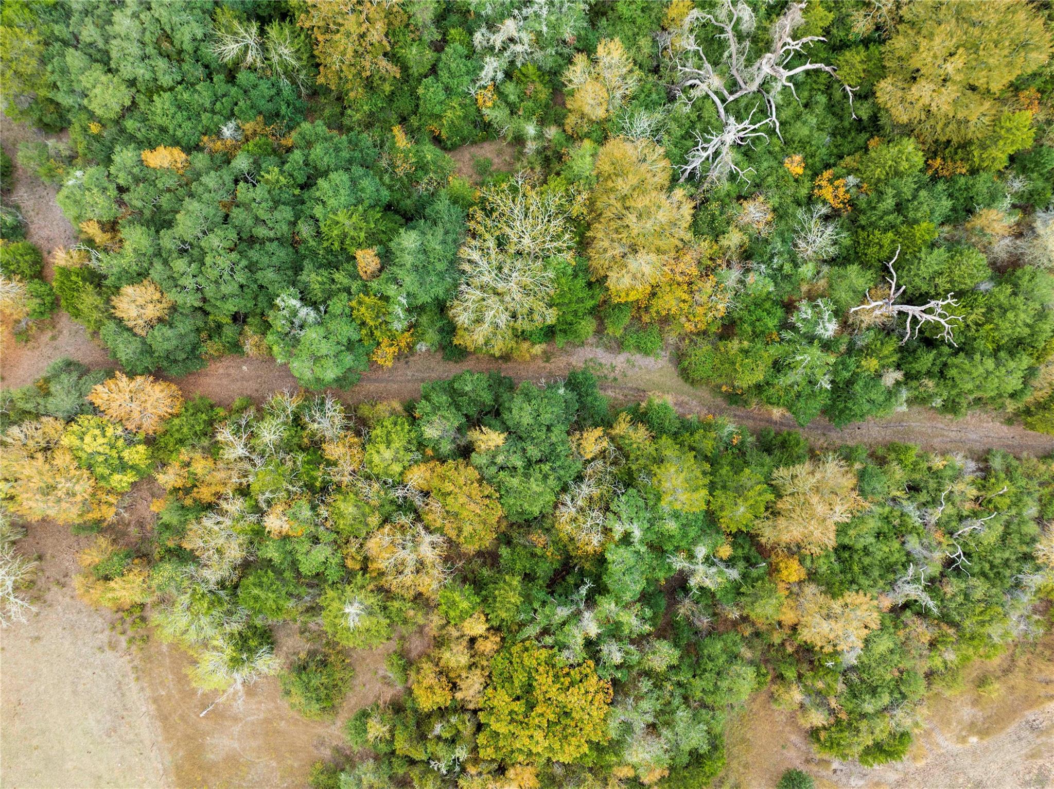 1250 Ladewig Ln, Schulenburg, TX 78956