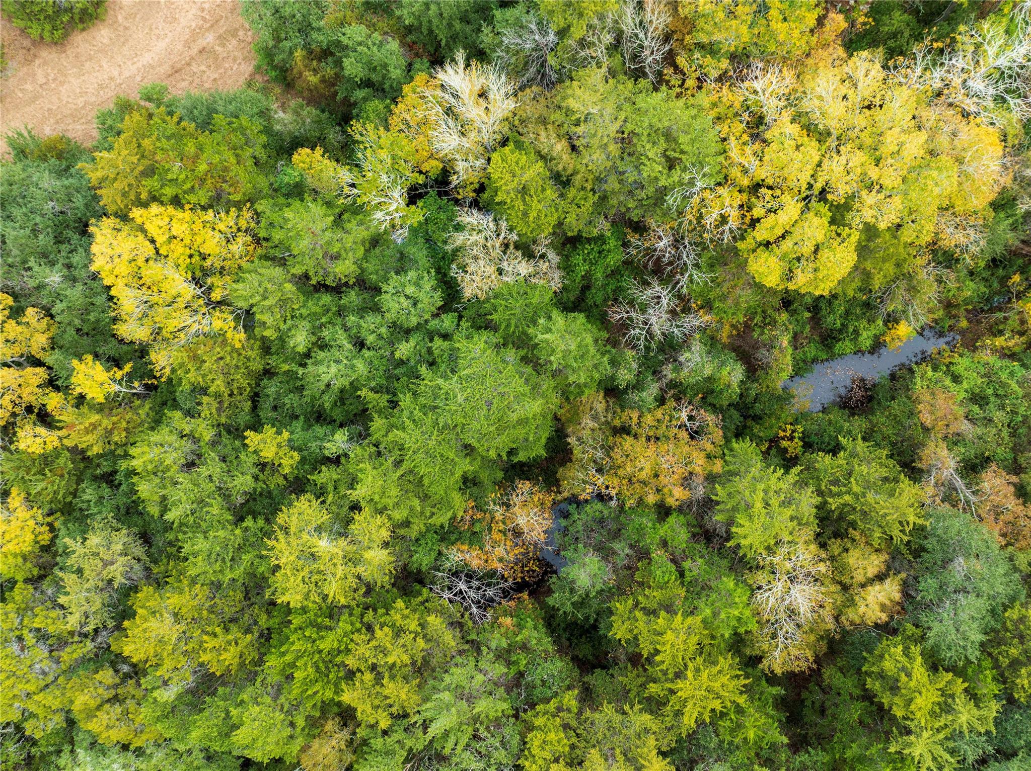 1250 Ladewig Ln, Schulenburg, TX 78956