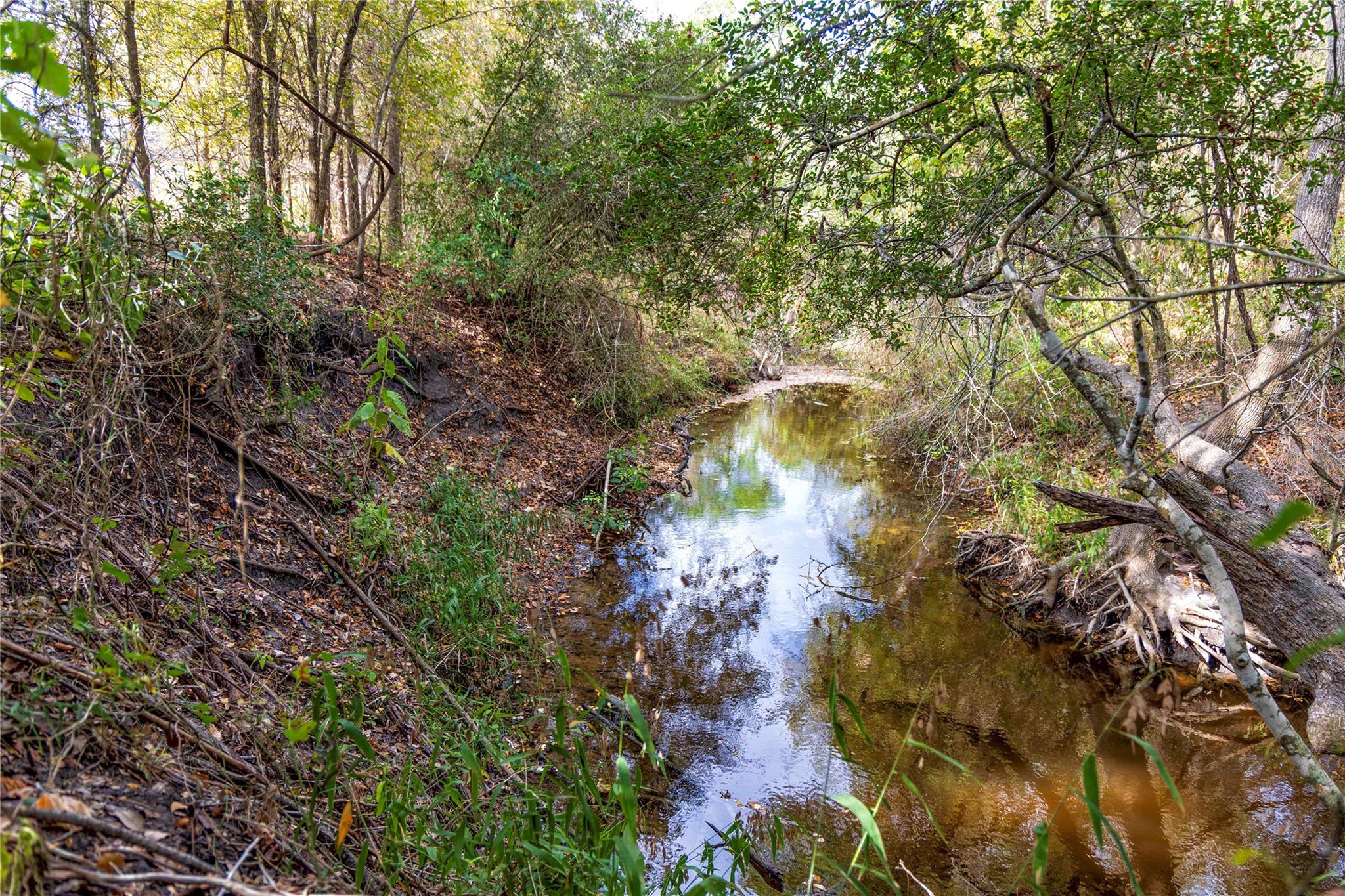 1250 Ladewig Ln, Schulenburg, TX 78956