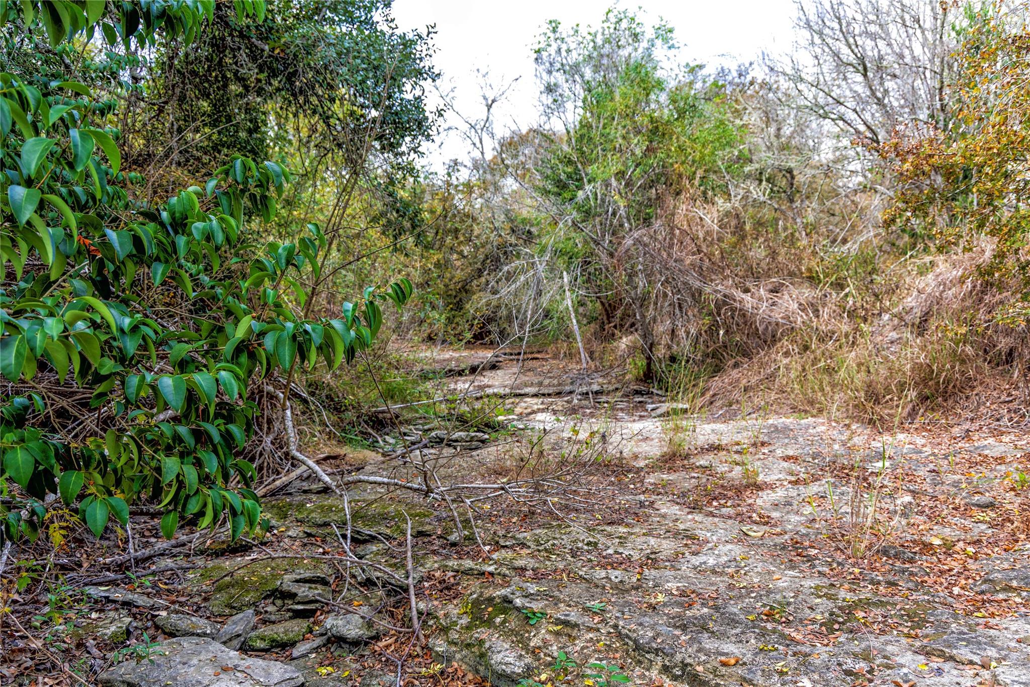 1250 Ladewig Ln, Schulenburg, TX 78956