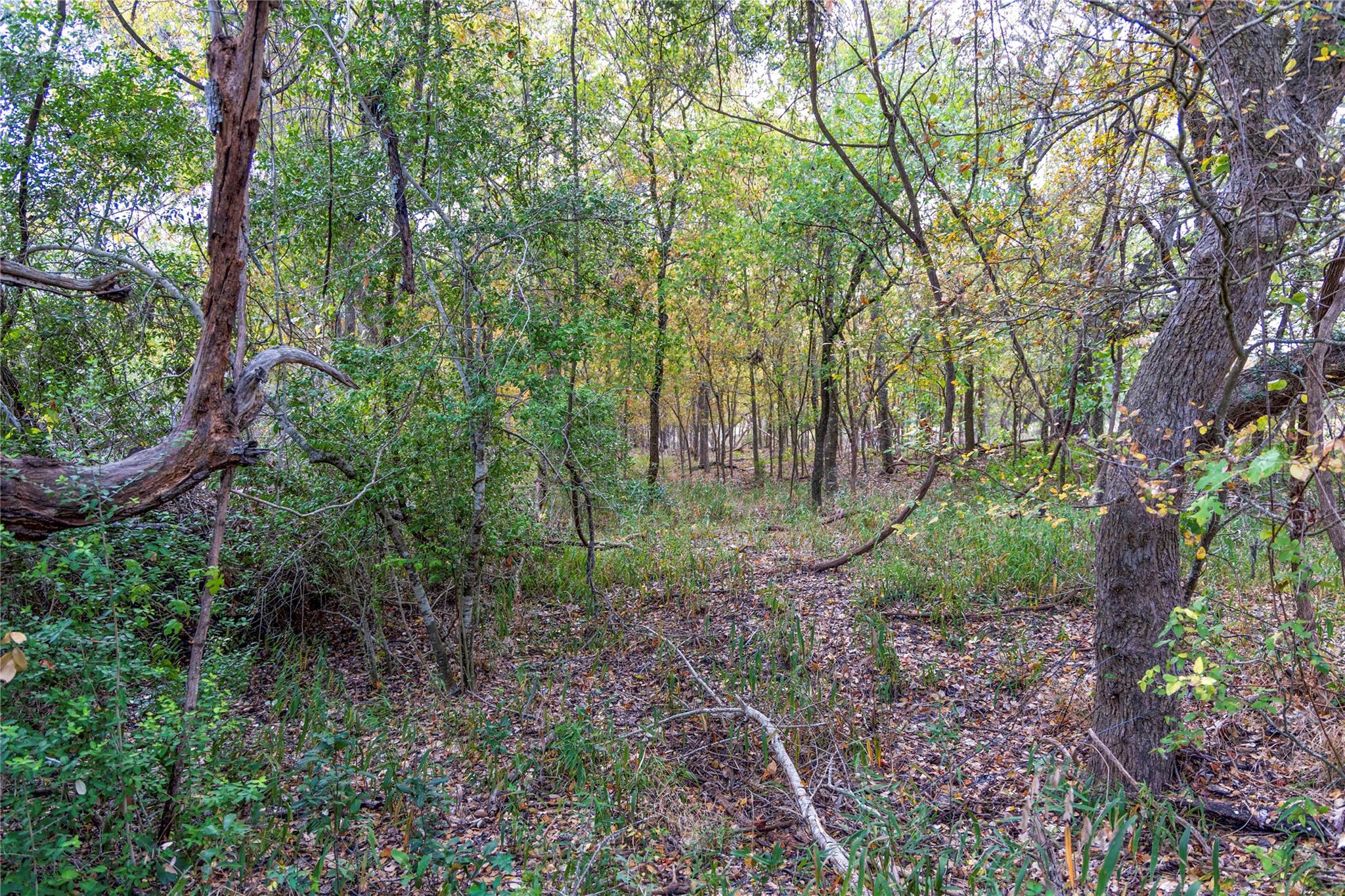 1250 Ladewig Ln, Schulenburg, TX 78956