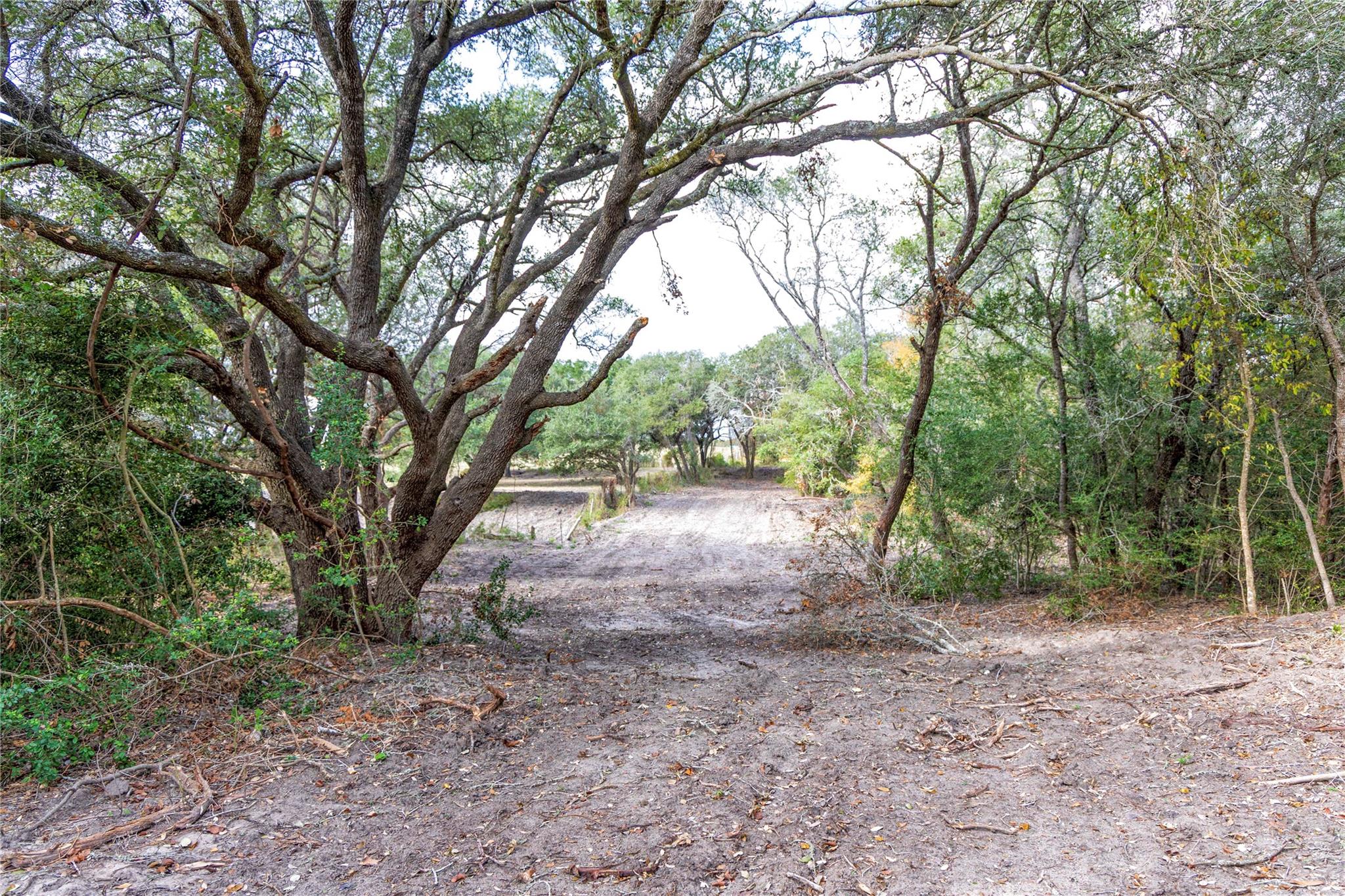 1250 Ladewig Ln, Schulenburg, TX 78956