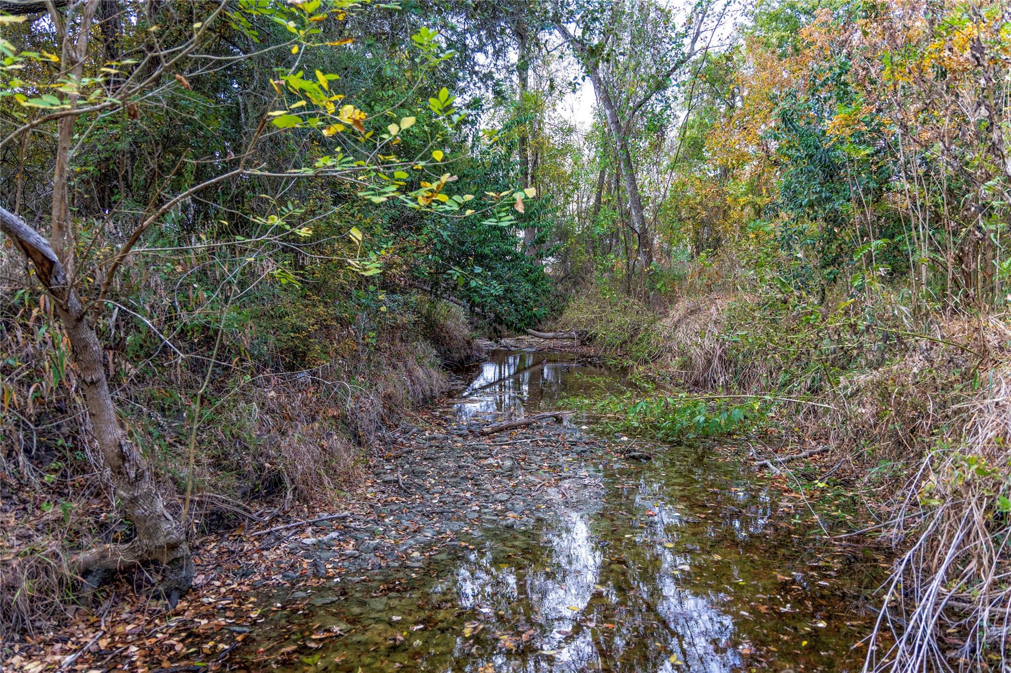 1250 Ladewig Ln, Schulenburg, TX 78956