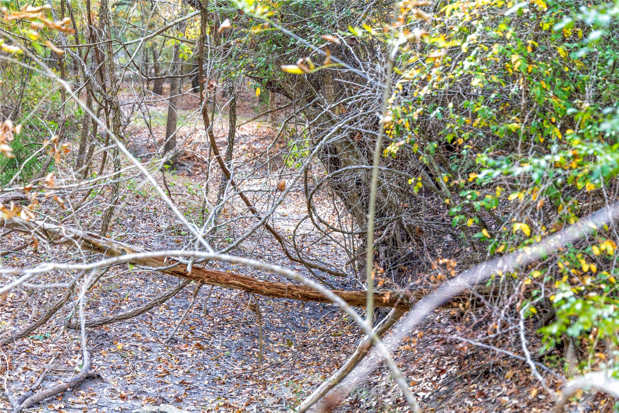 1250 Ladewig Ln, Schulenburg, TX 78956